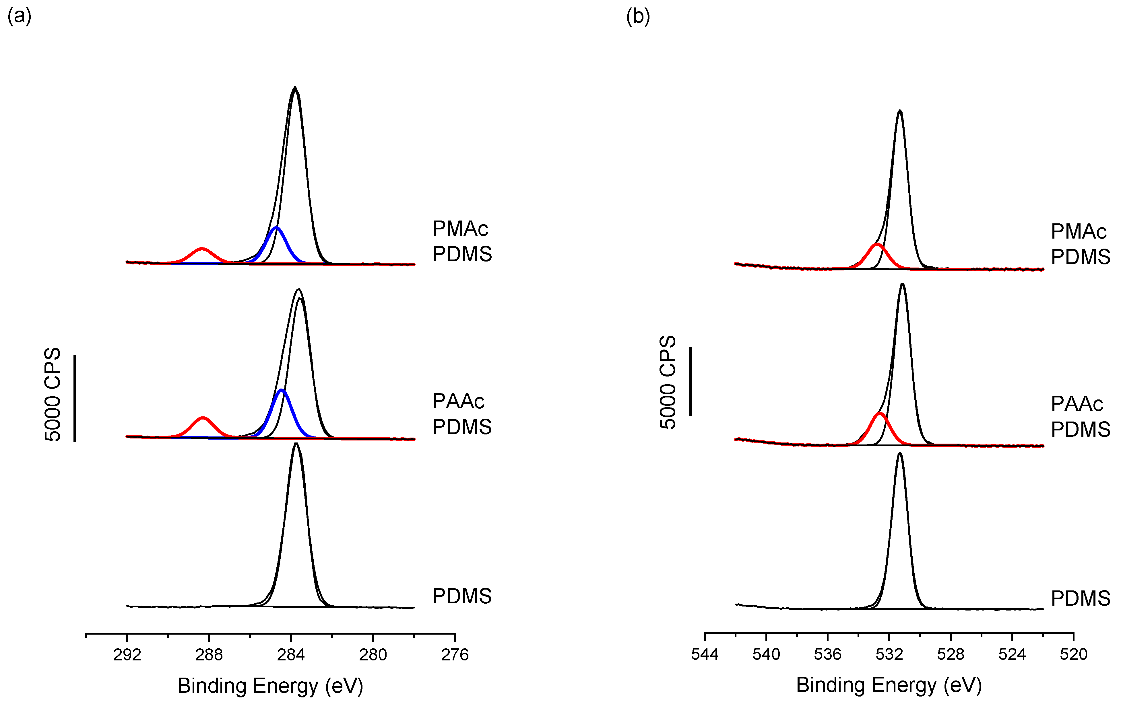Coatings 13 01888 g004