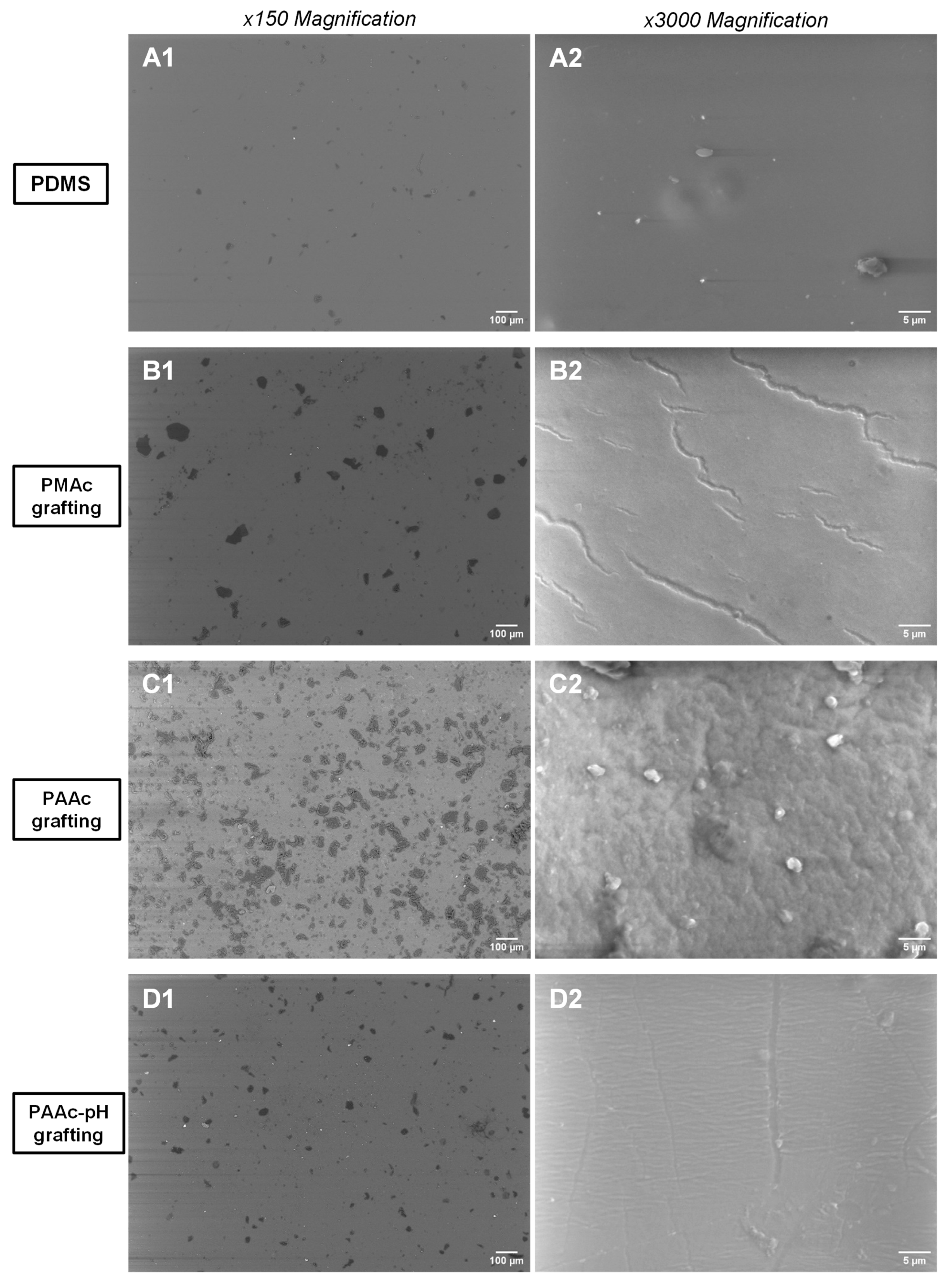 Coatings 13 01888 g007