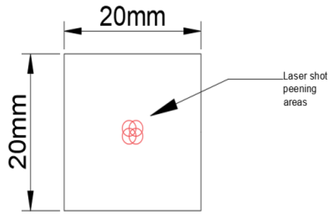 Coatings 13 01889 g001