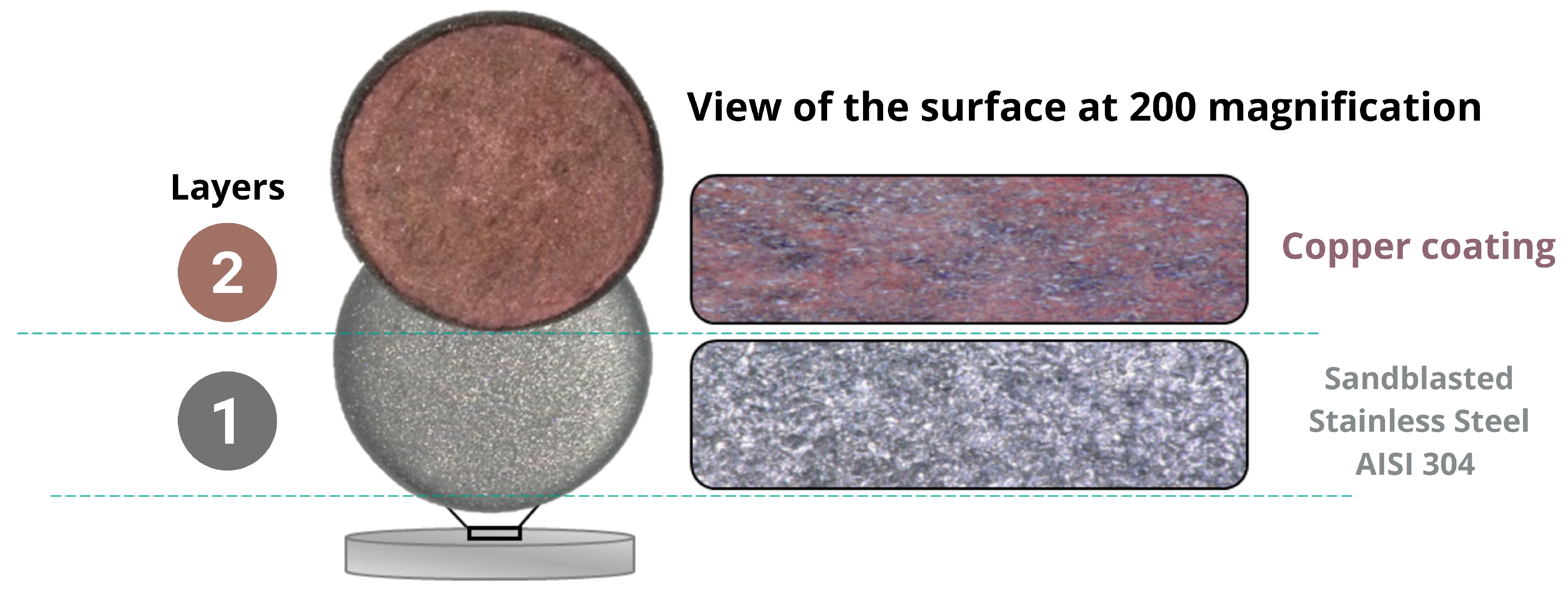 Coatings 13 01890 g002