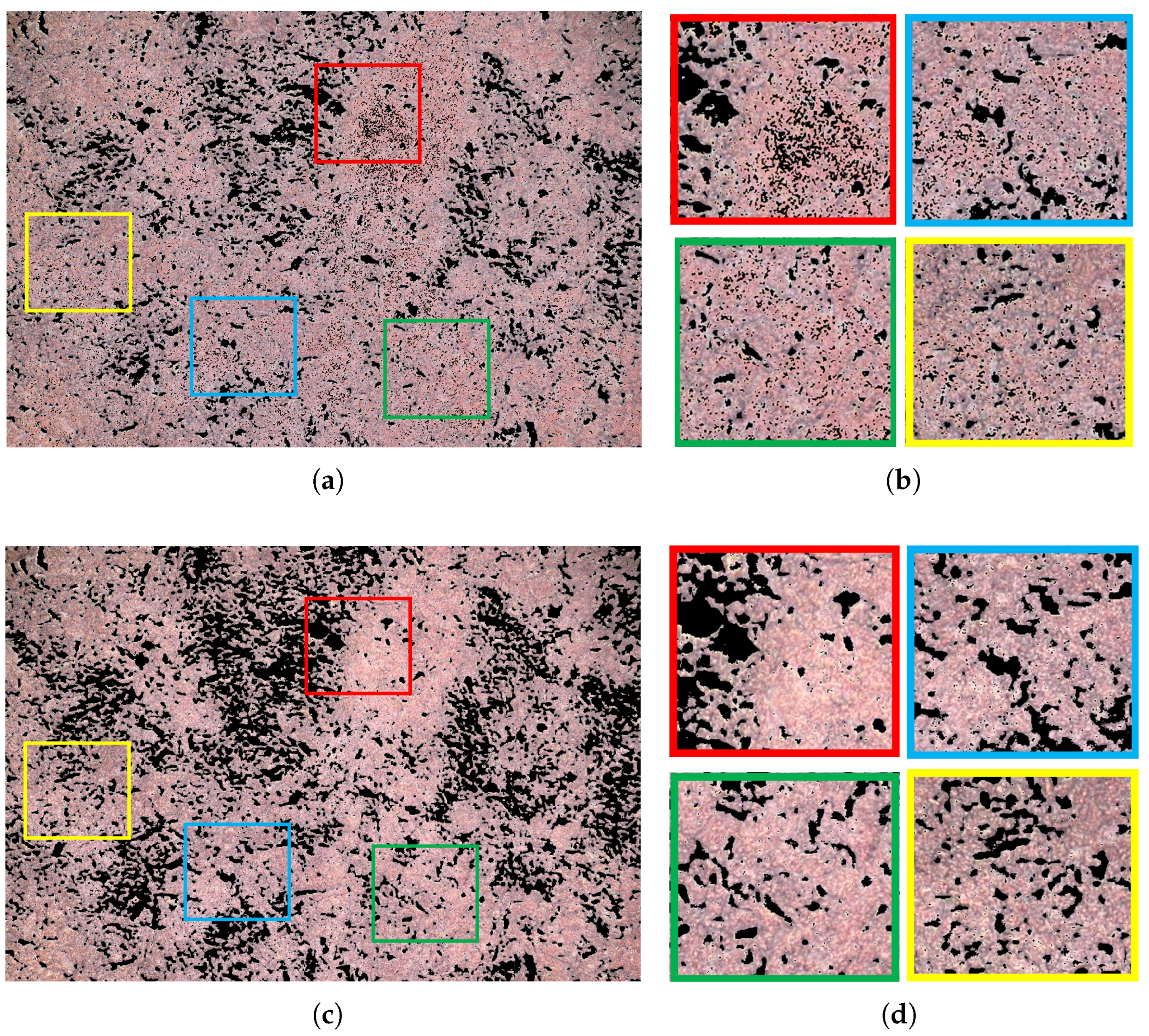 Coatings 13 01890 g005