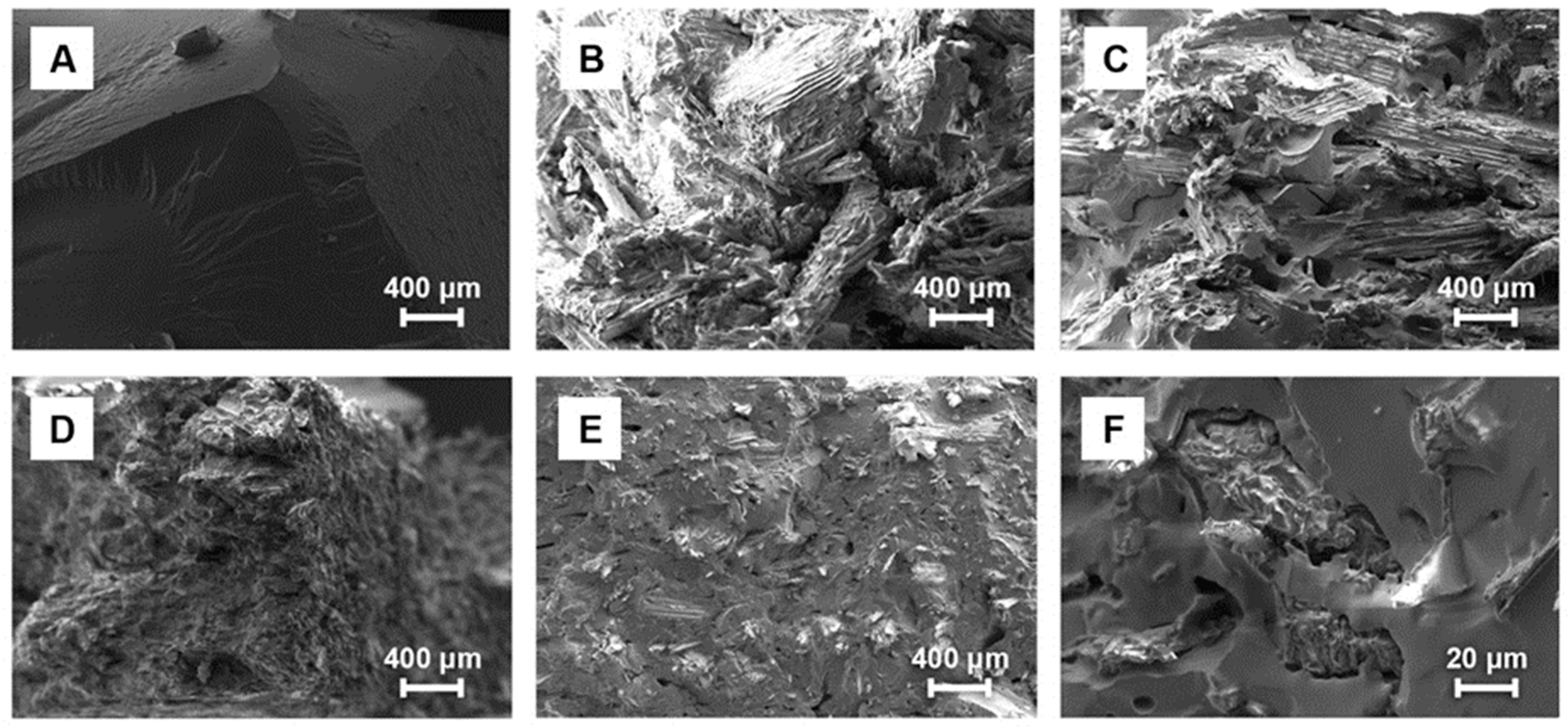 Coatings 13 01892 g002