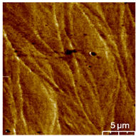 Coatings 13 01895 i003