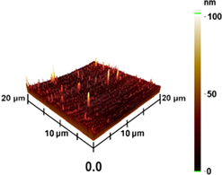 Coatings 13 01895 i006