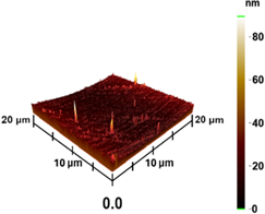 Coatings 13 01895 i008