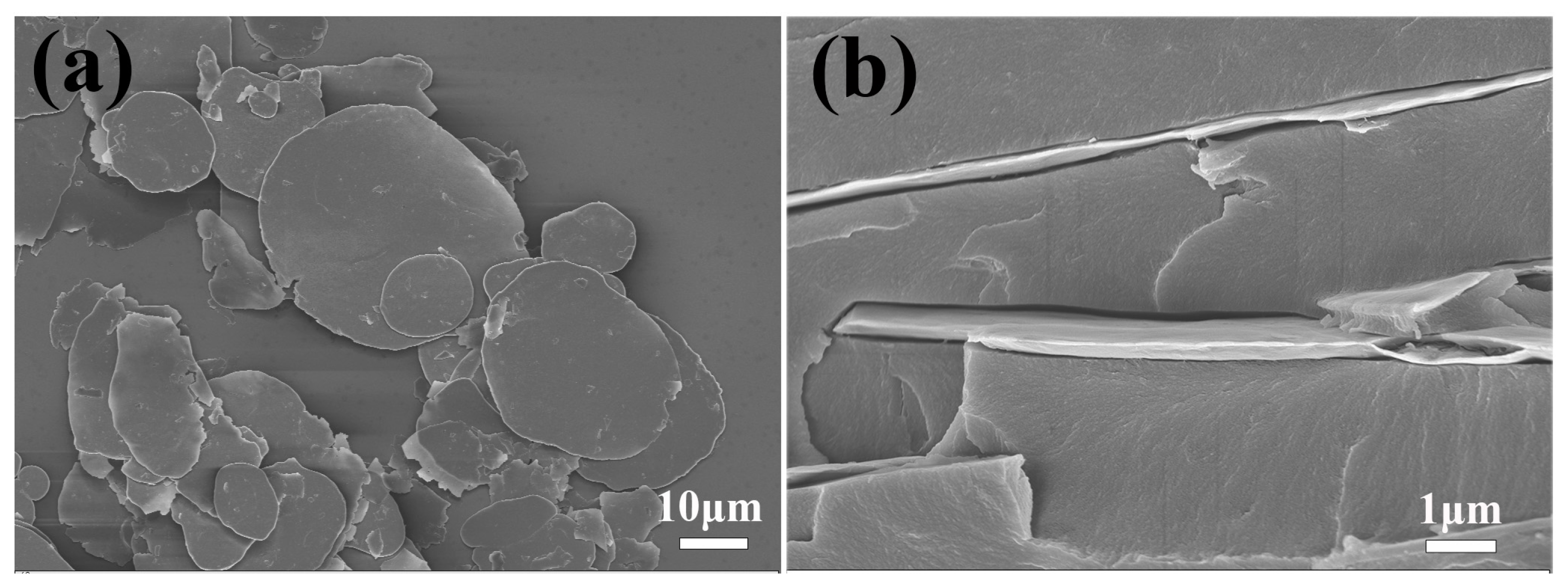 Coatings 13 01897 g004