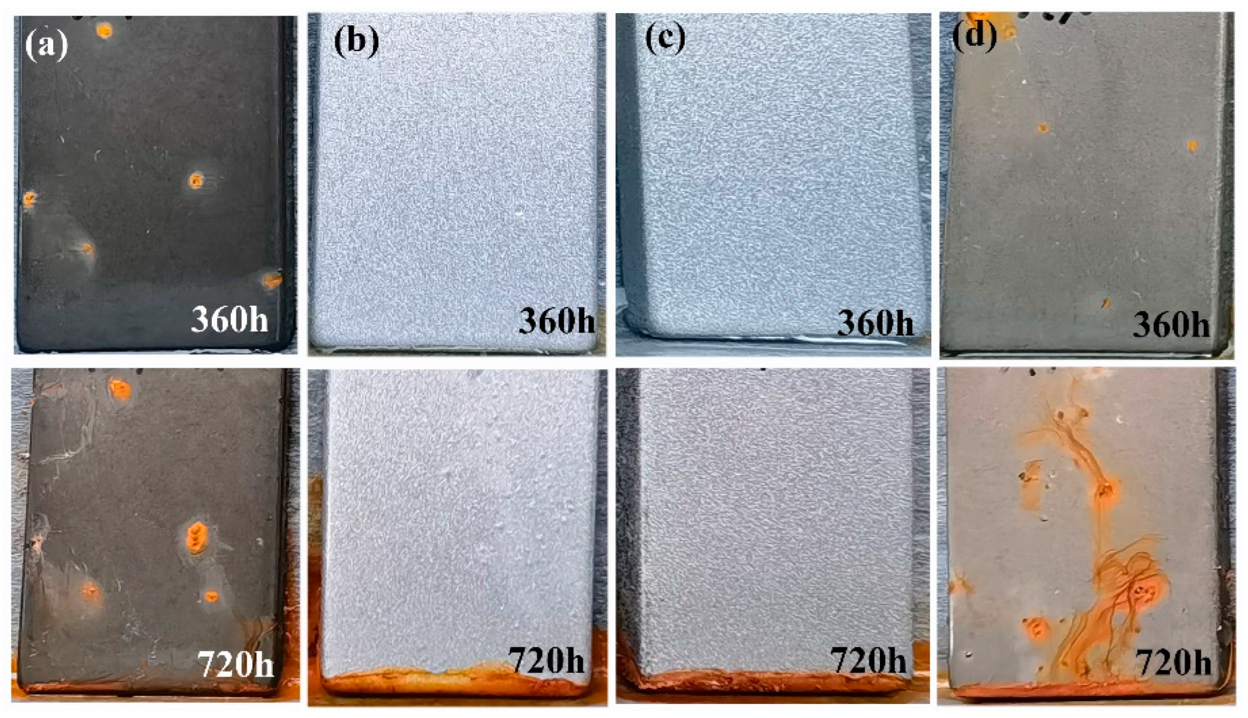 Coatings 13 01897 g006