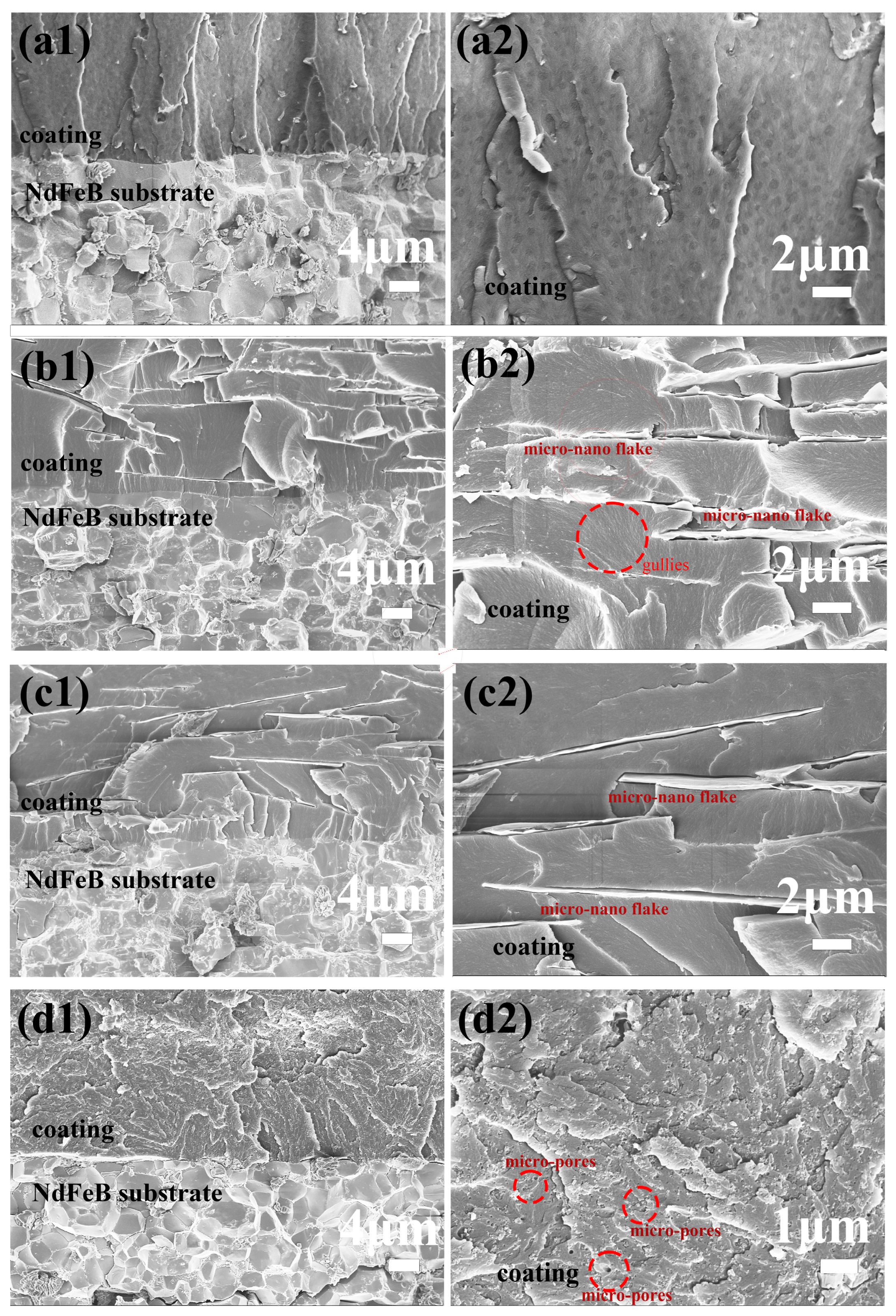 Coatings 13 01897 g007