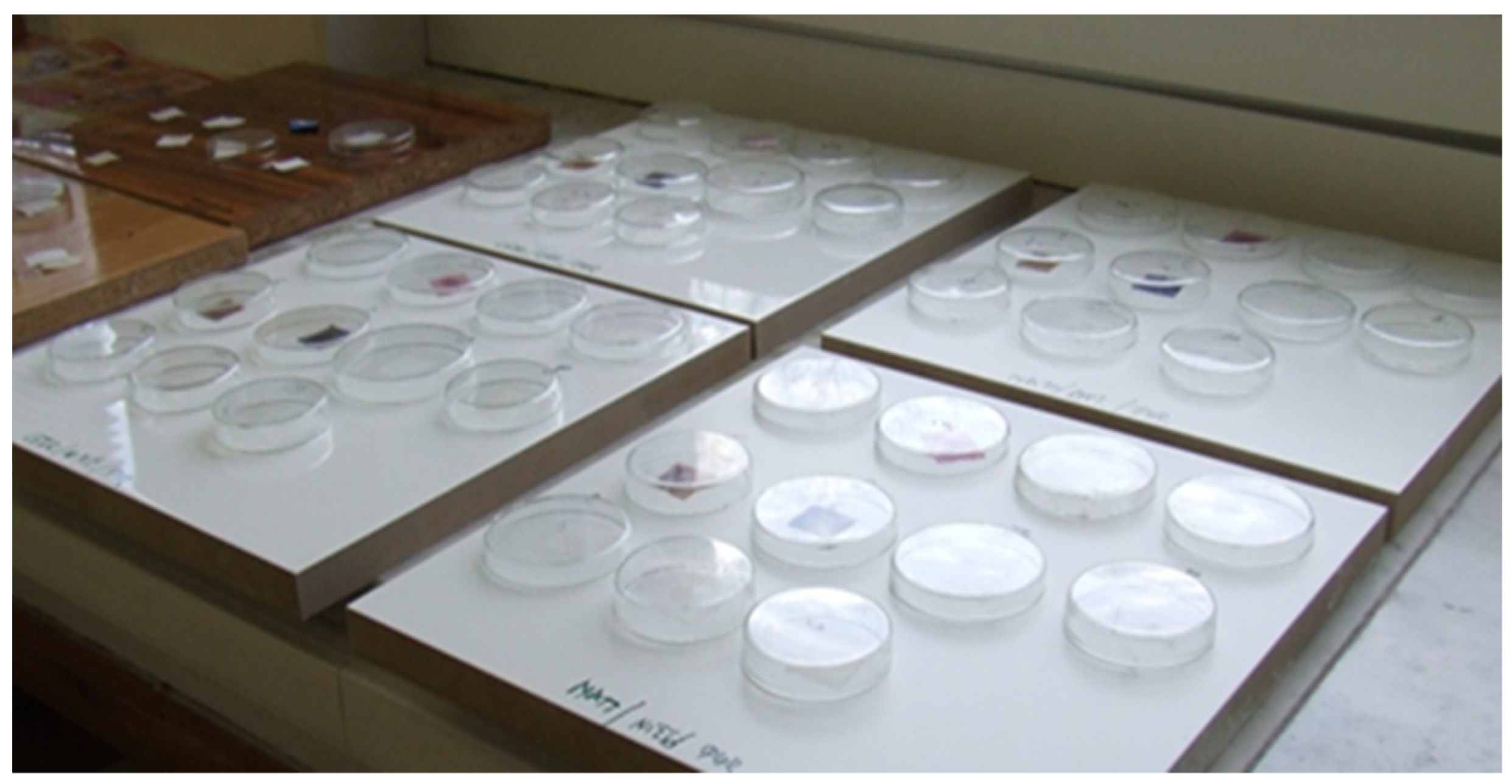 Coatings 13 01903 g004