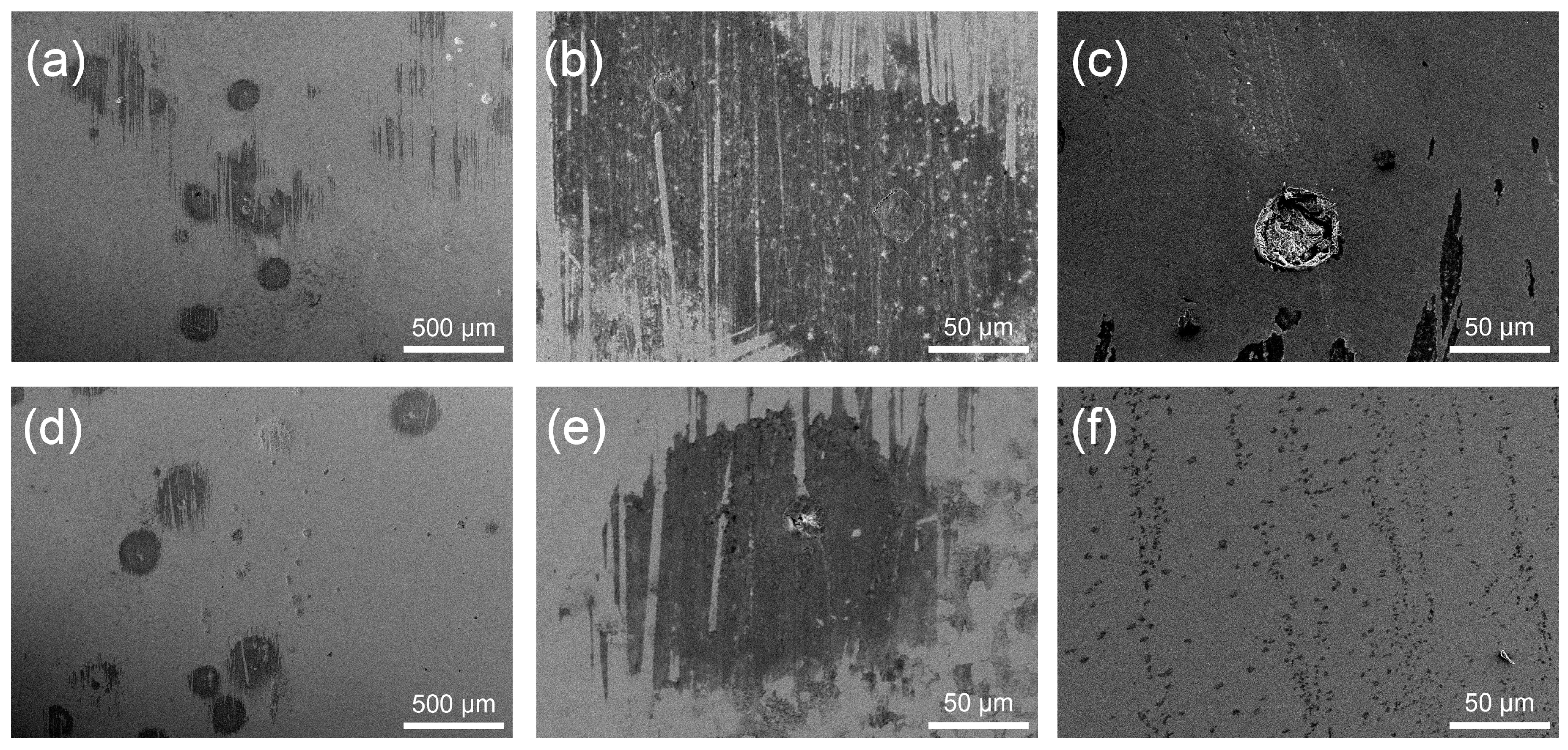 Coatings 13 01904 g013 Coatings 13 01904 g013