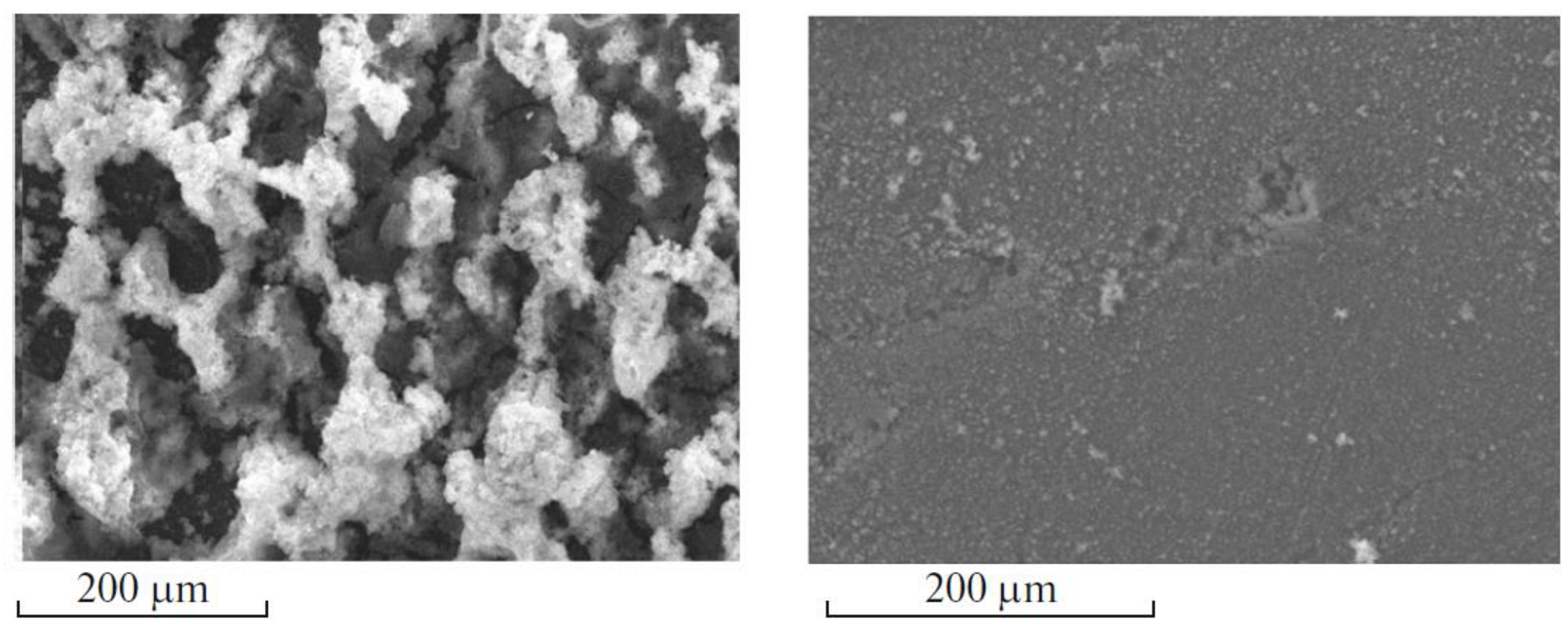Coatings 13 01905 g009