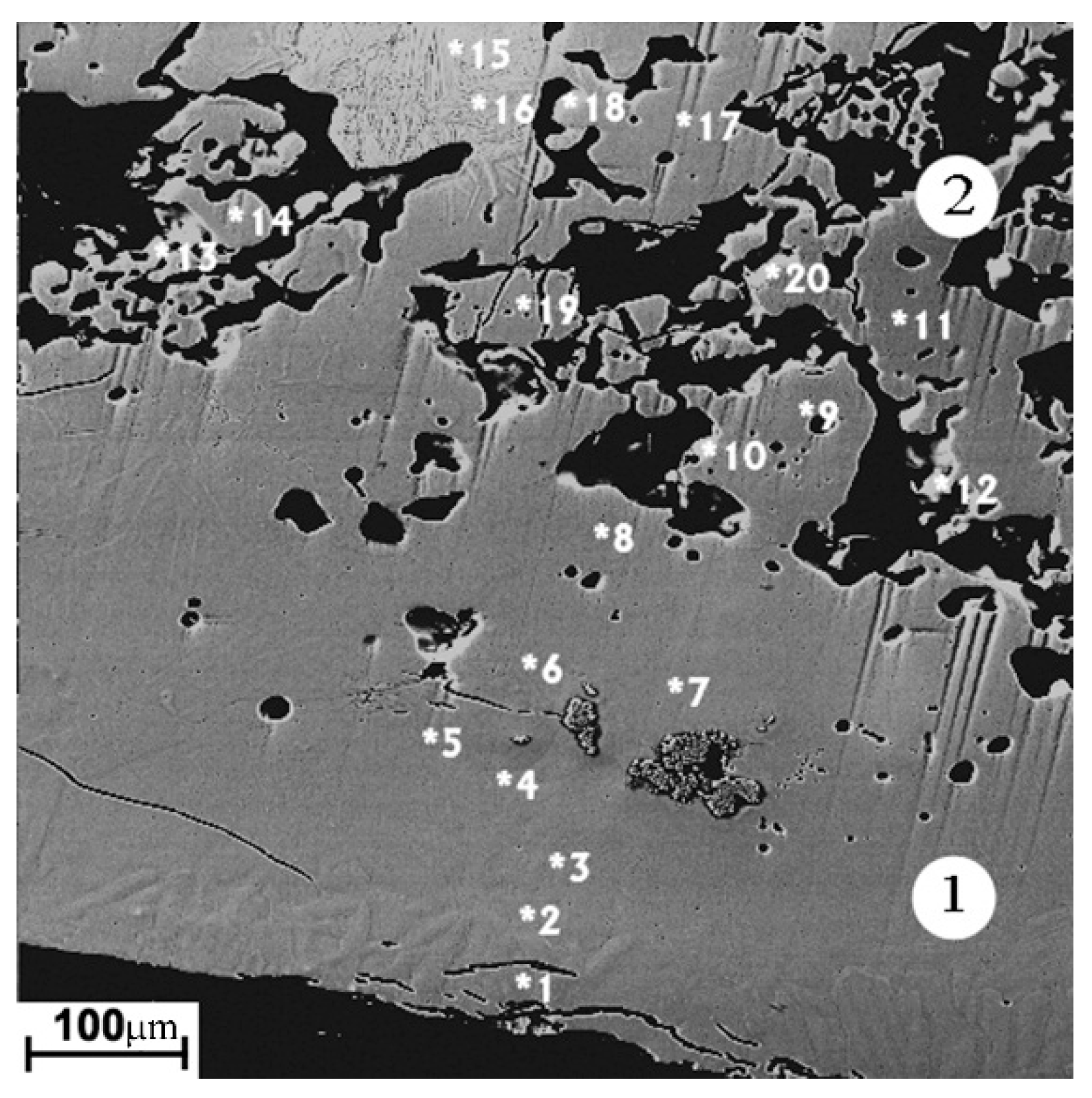 Coatings 13 01906 g005