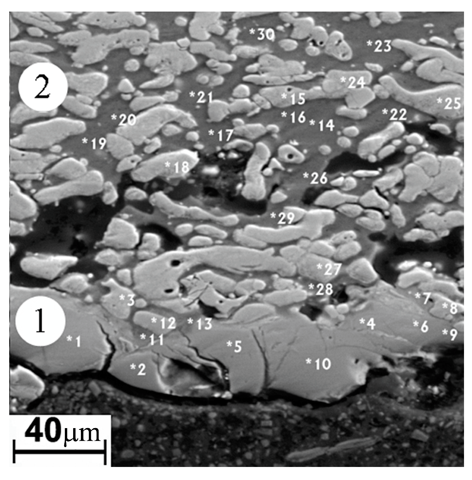 Coatings 13 01906 g006