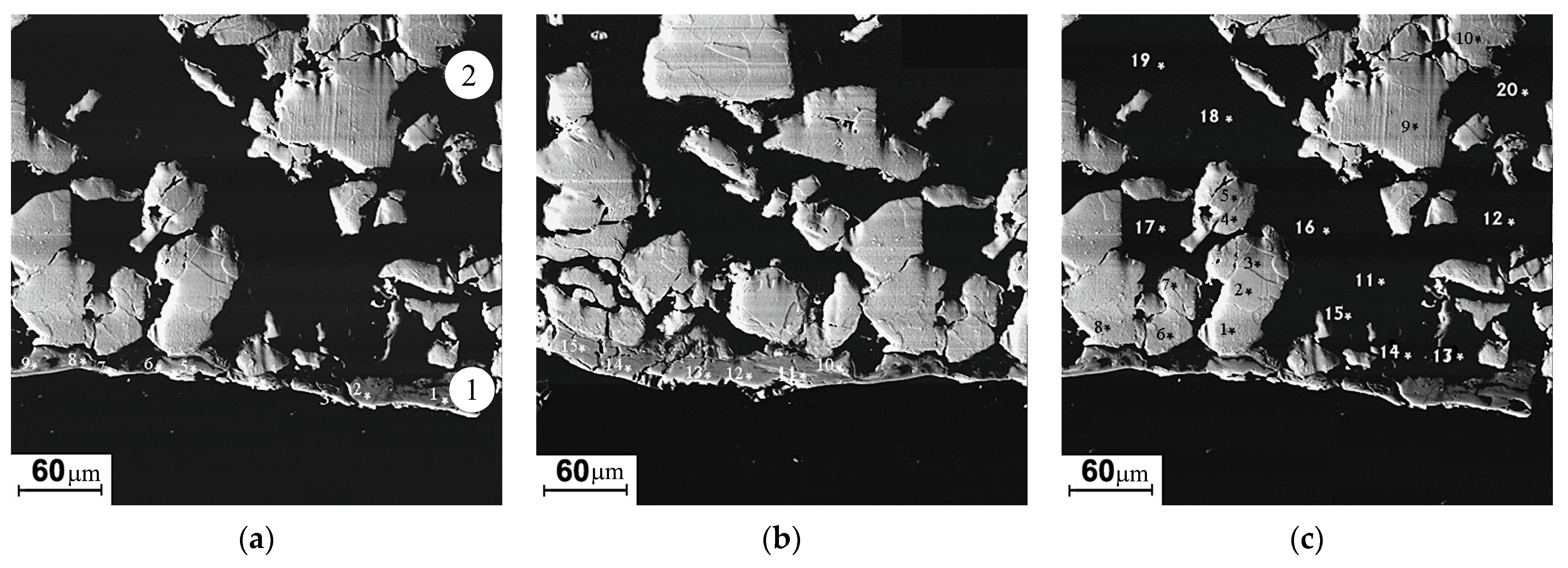 Coatings 13 01906 g007