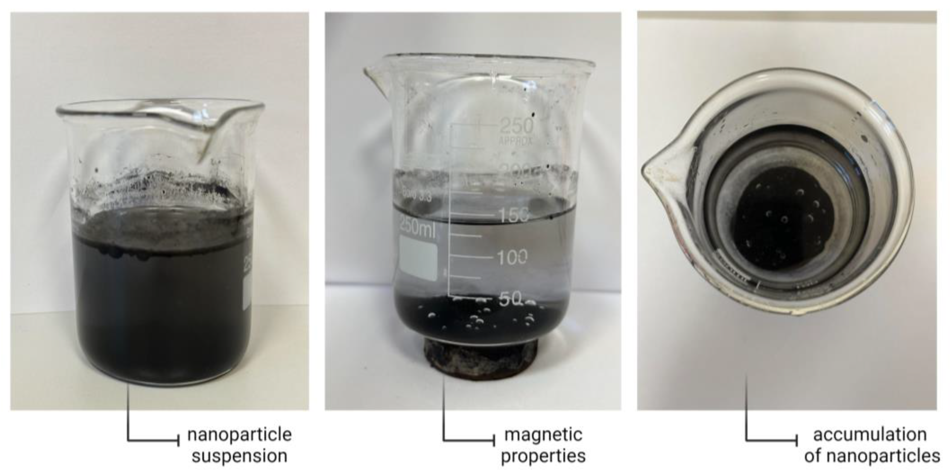Coatings 13 01907 g006