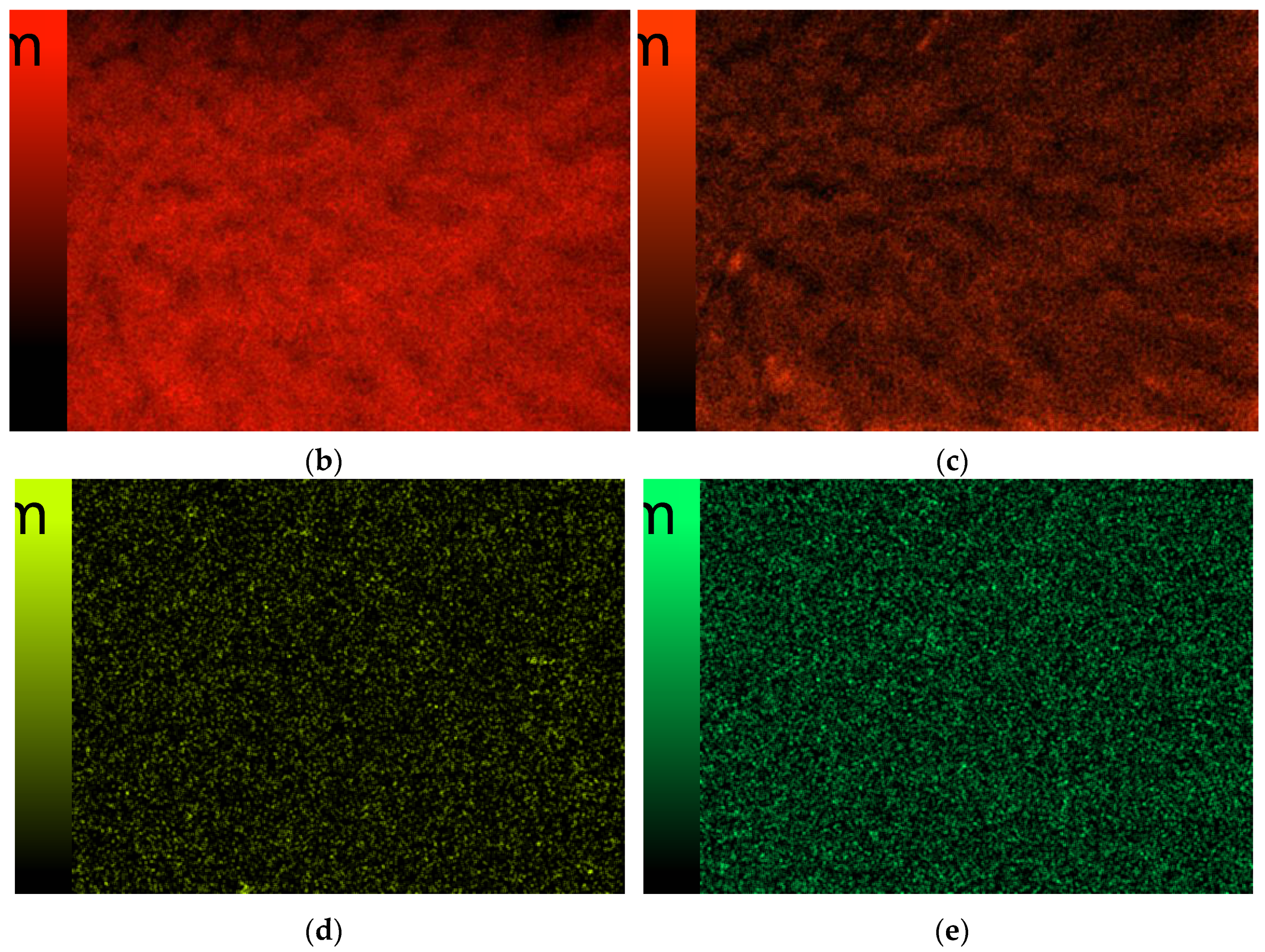 Coatings 13 01907 g015b