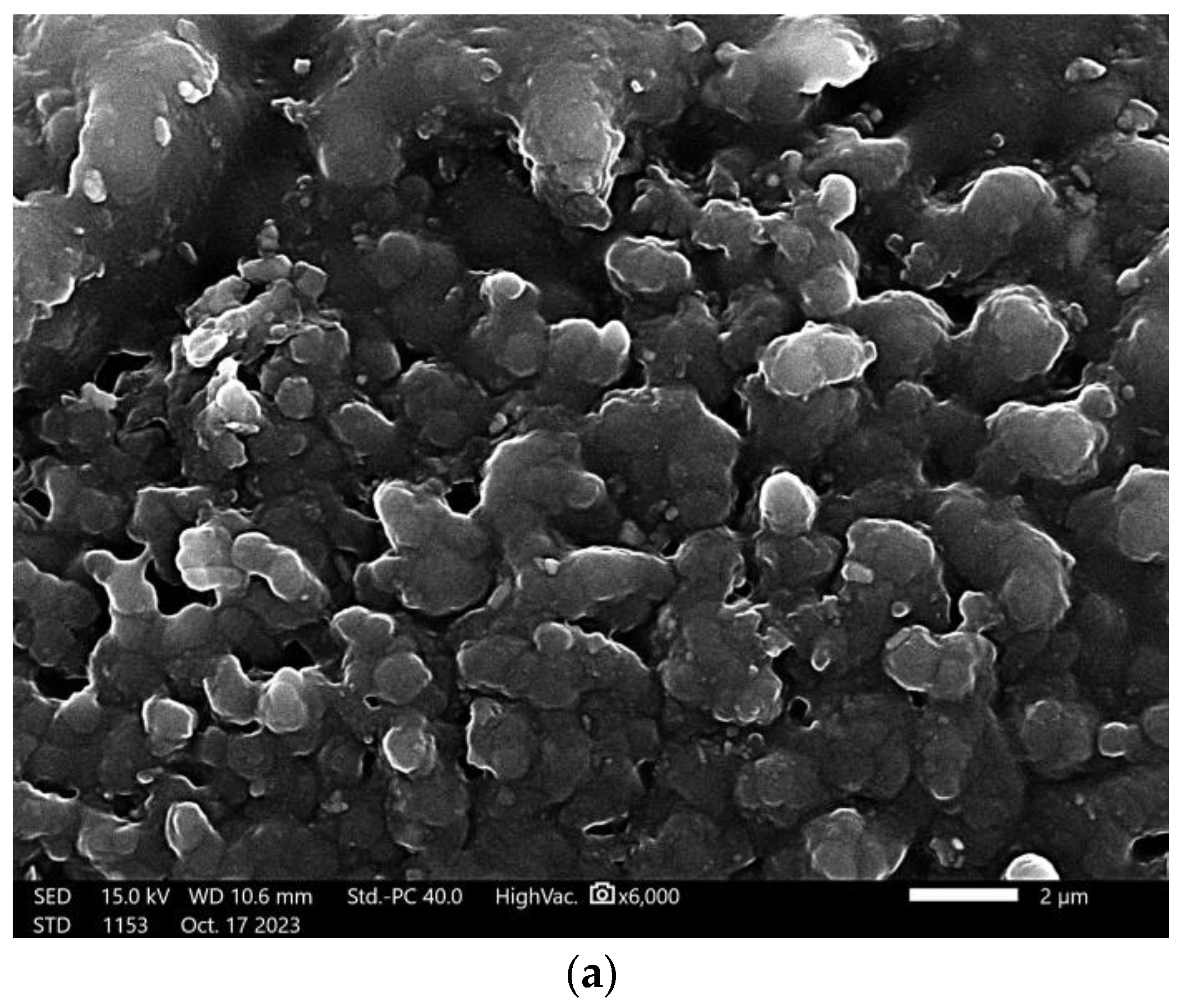 Coatings 13 01907 g017a