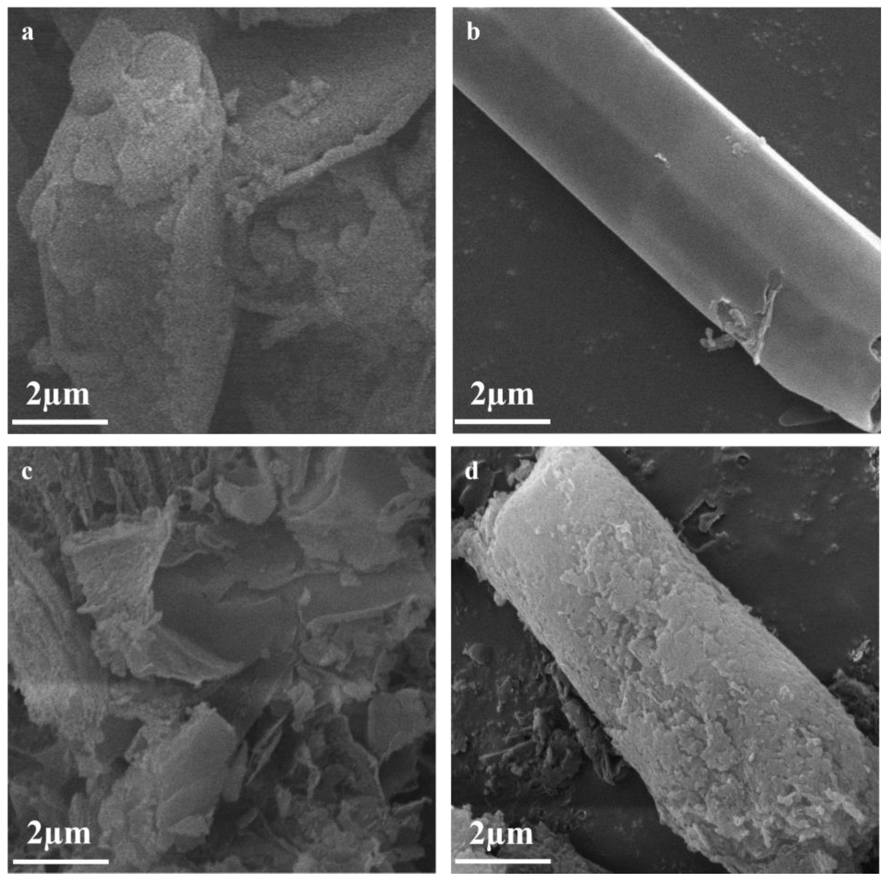 Coatings 13 01909 g002