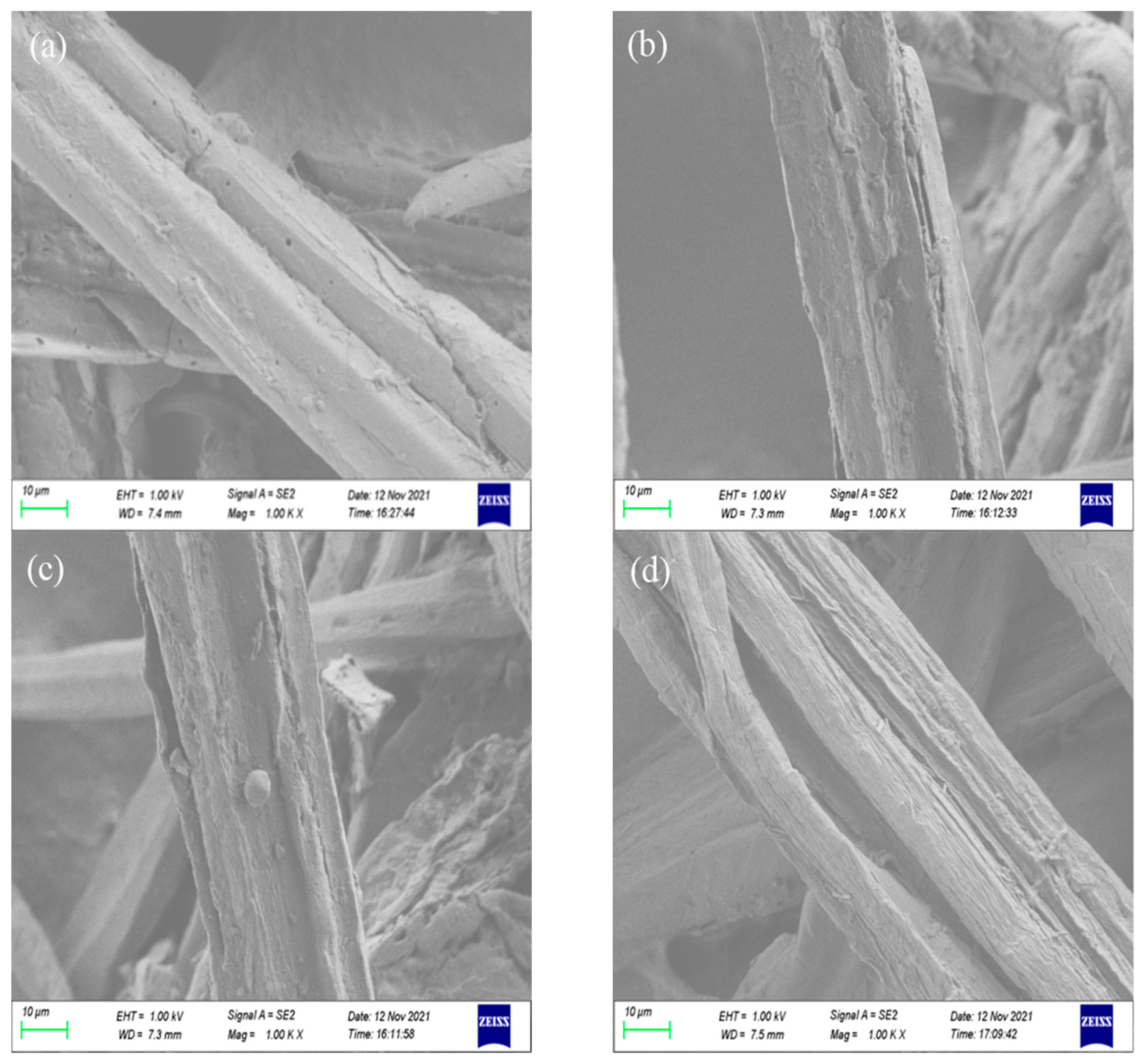 Coatings 13 01912 g004