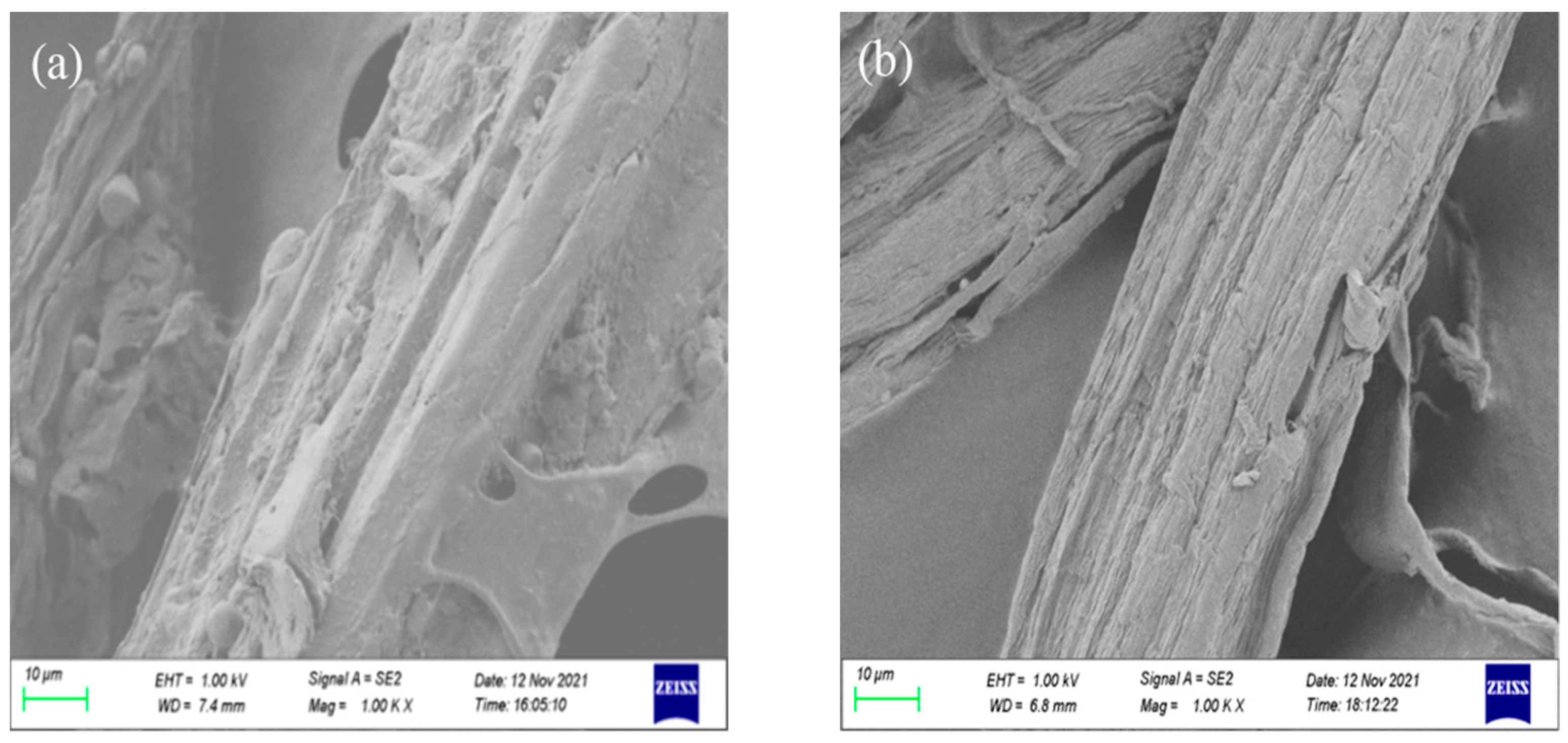 Coatings 13 01912 g005a