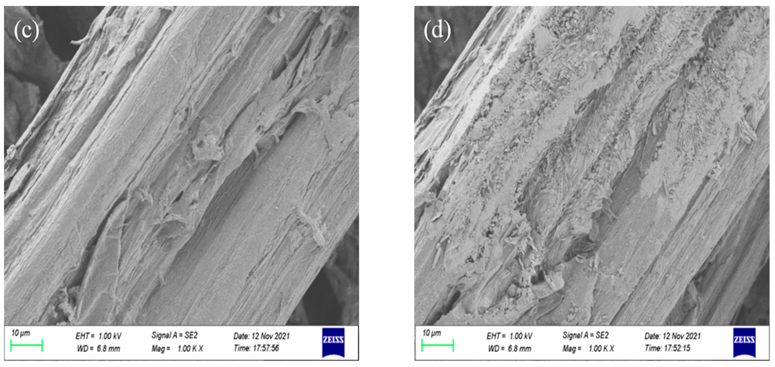 Coatings 13 01912 g005b