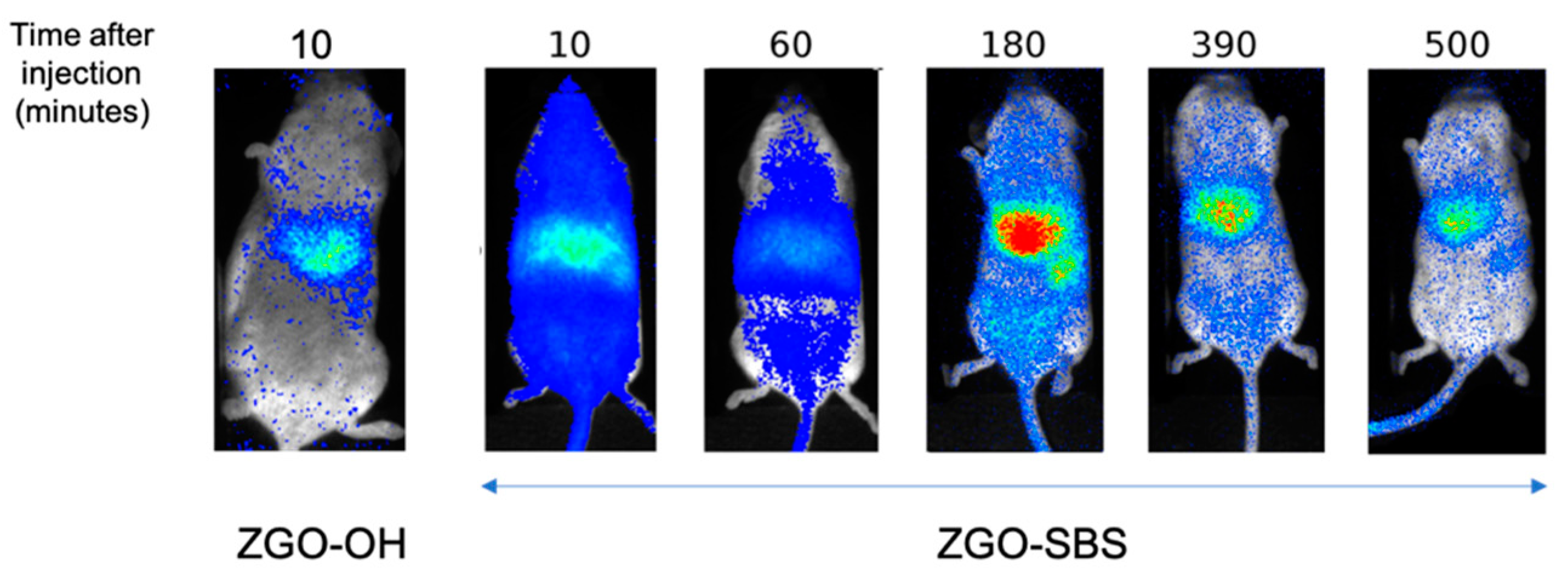 Coatings 13 01913 g006