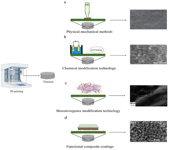 Coatings 13 01917 g002