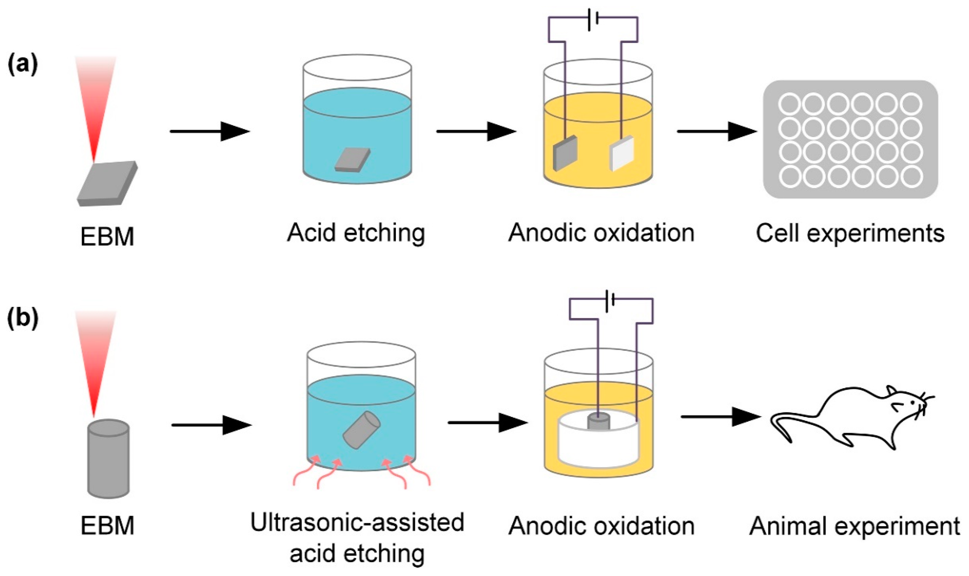 Coatings 13 01917 g004