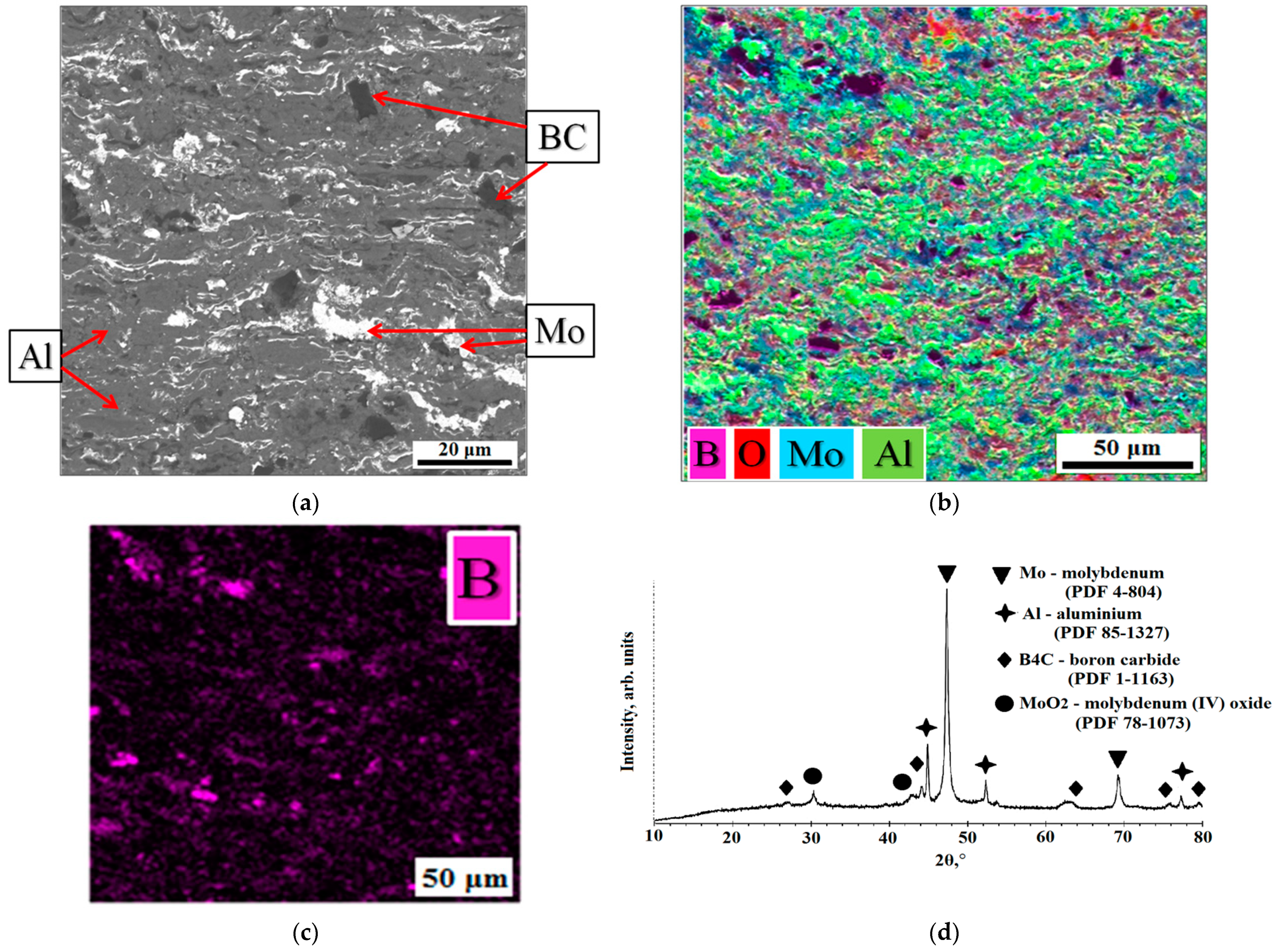 Coatings 13 01918 g003
