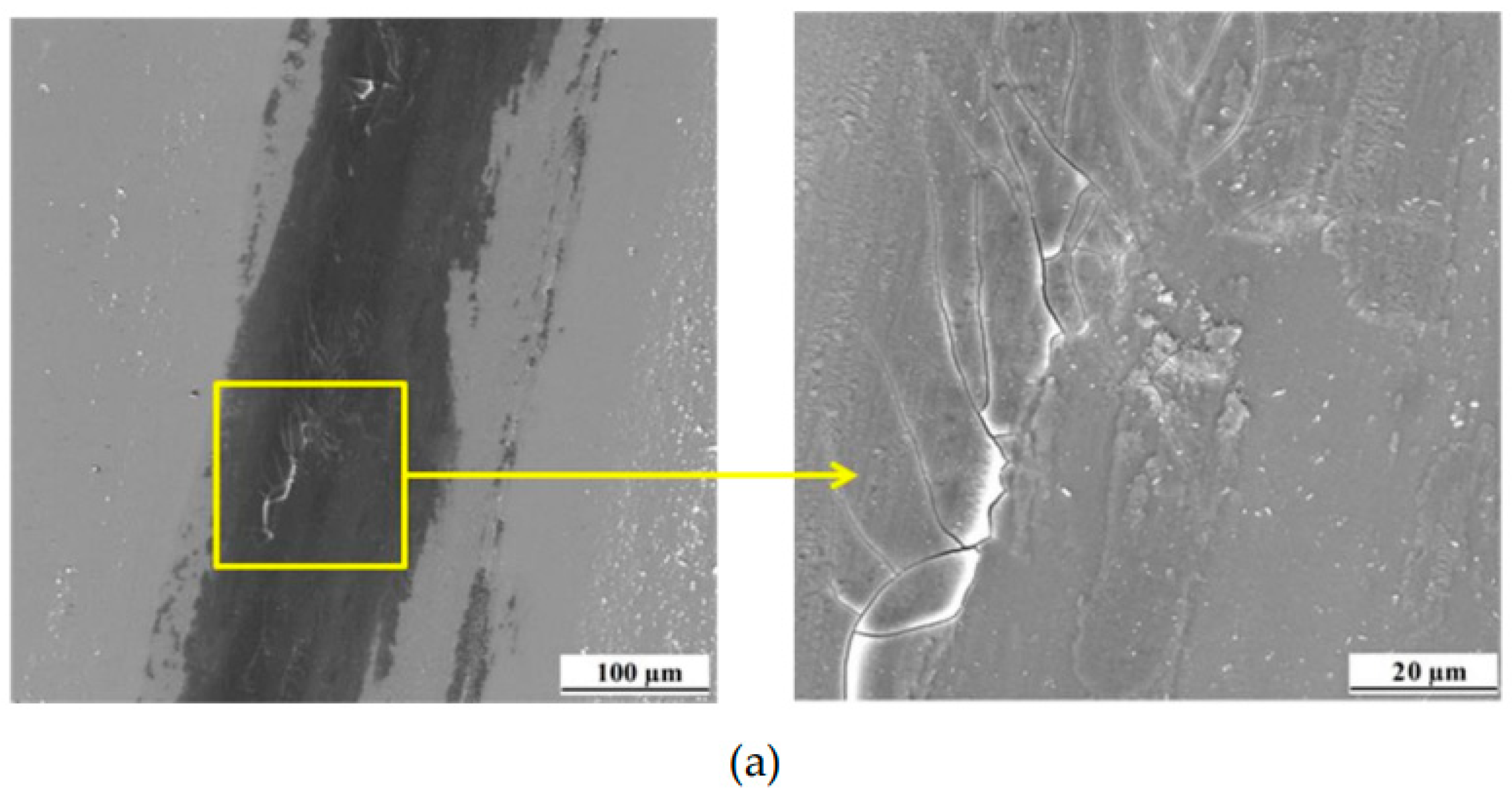 Coatings 13 01918 g010a