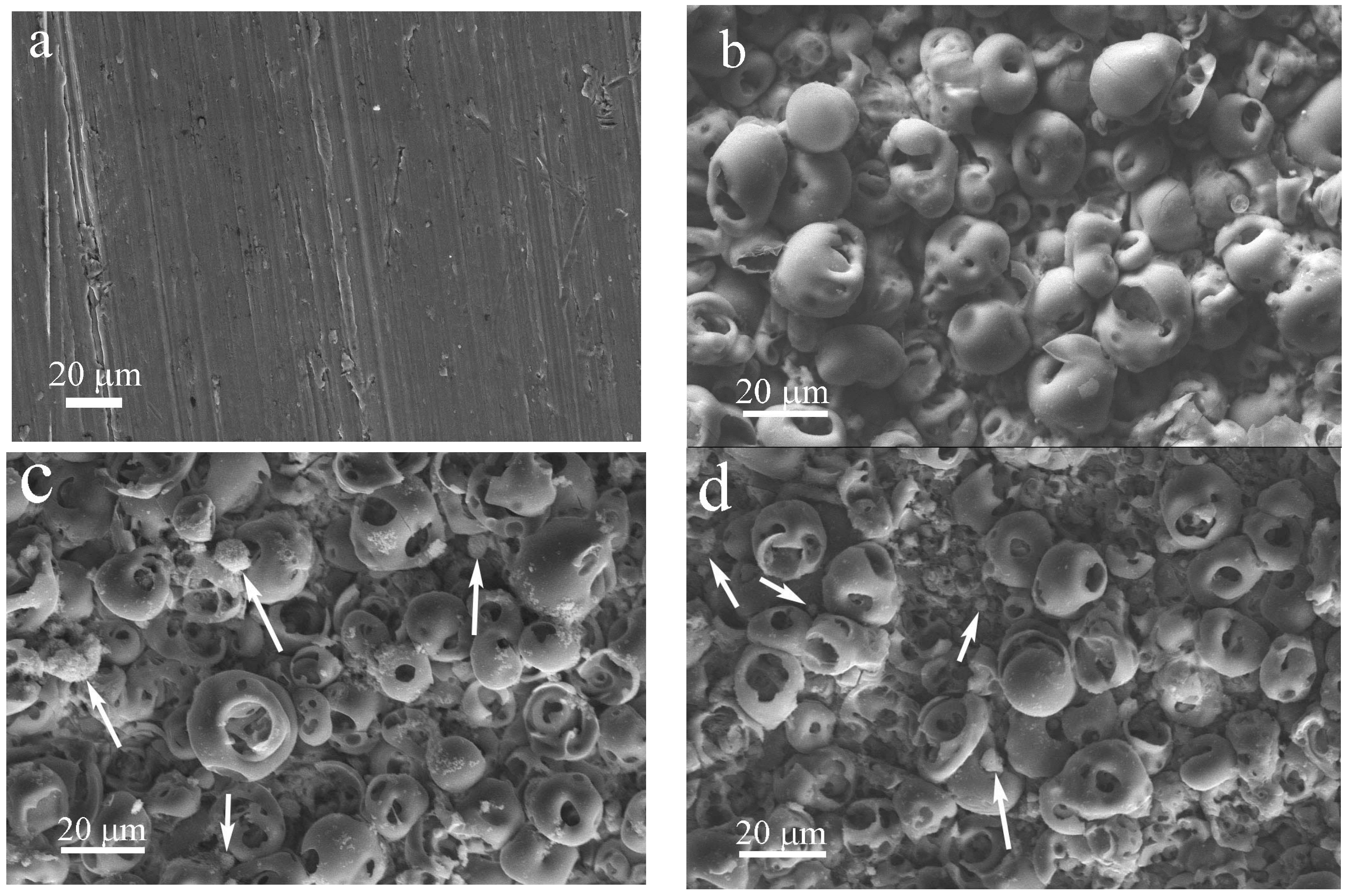 Coatings 13 01921 g003a