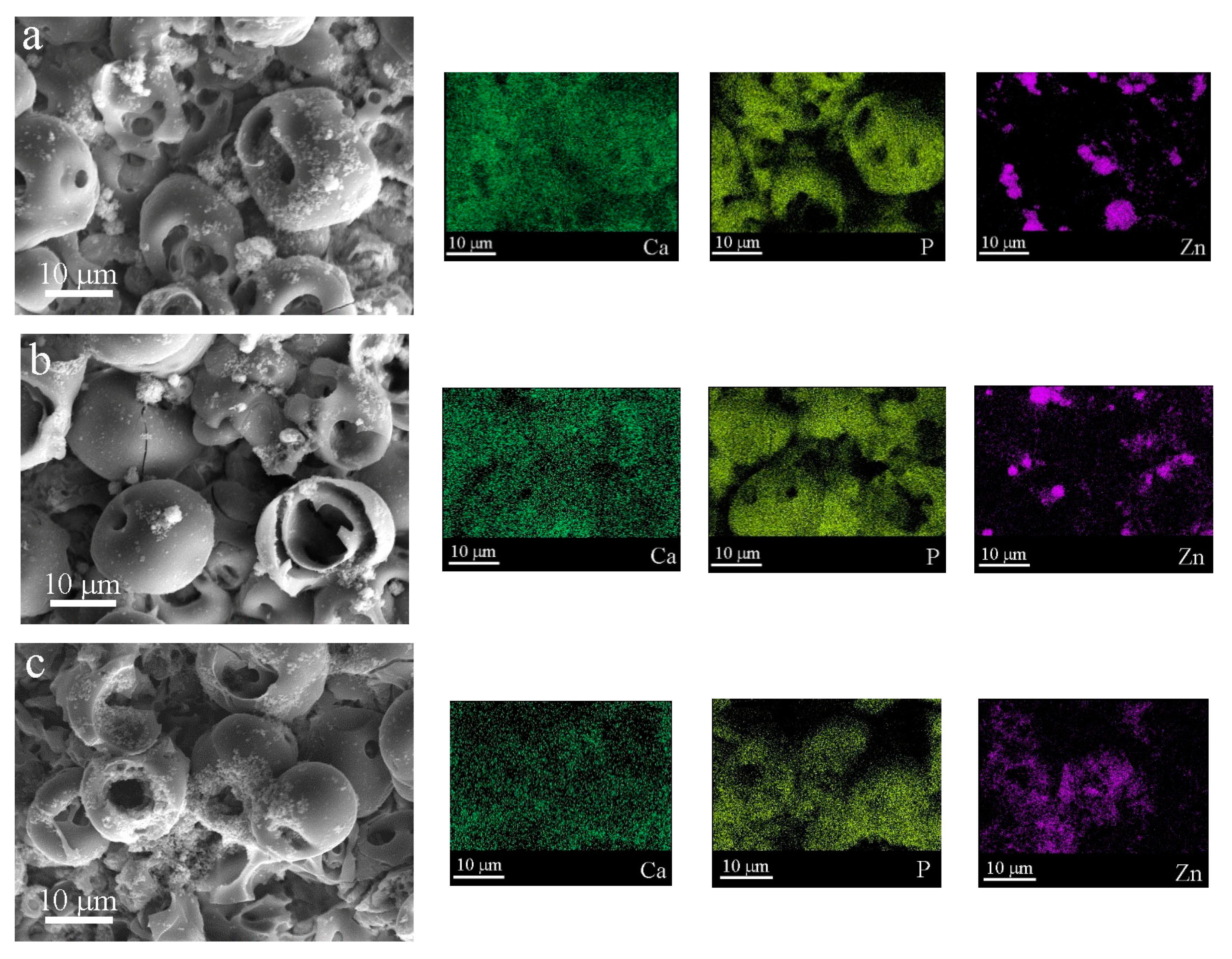 Coatings 13 01921 g005