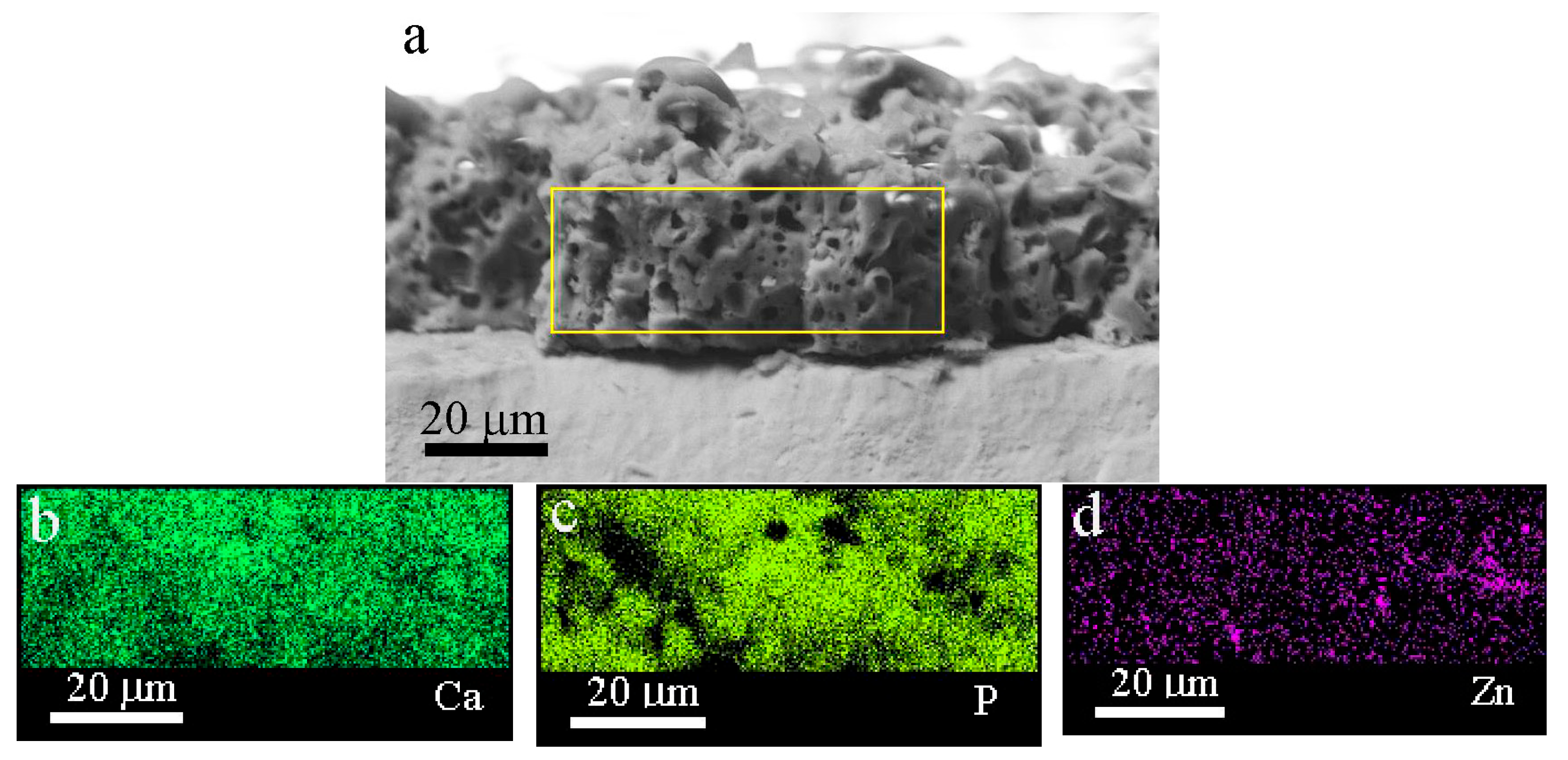 Coatings 13 01921 g006