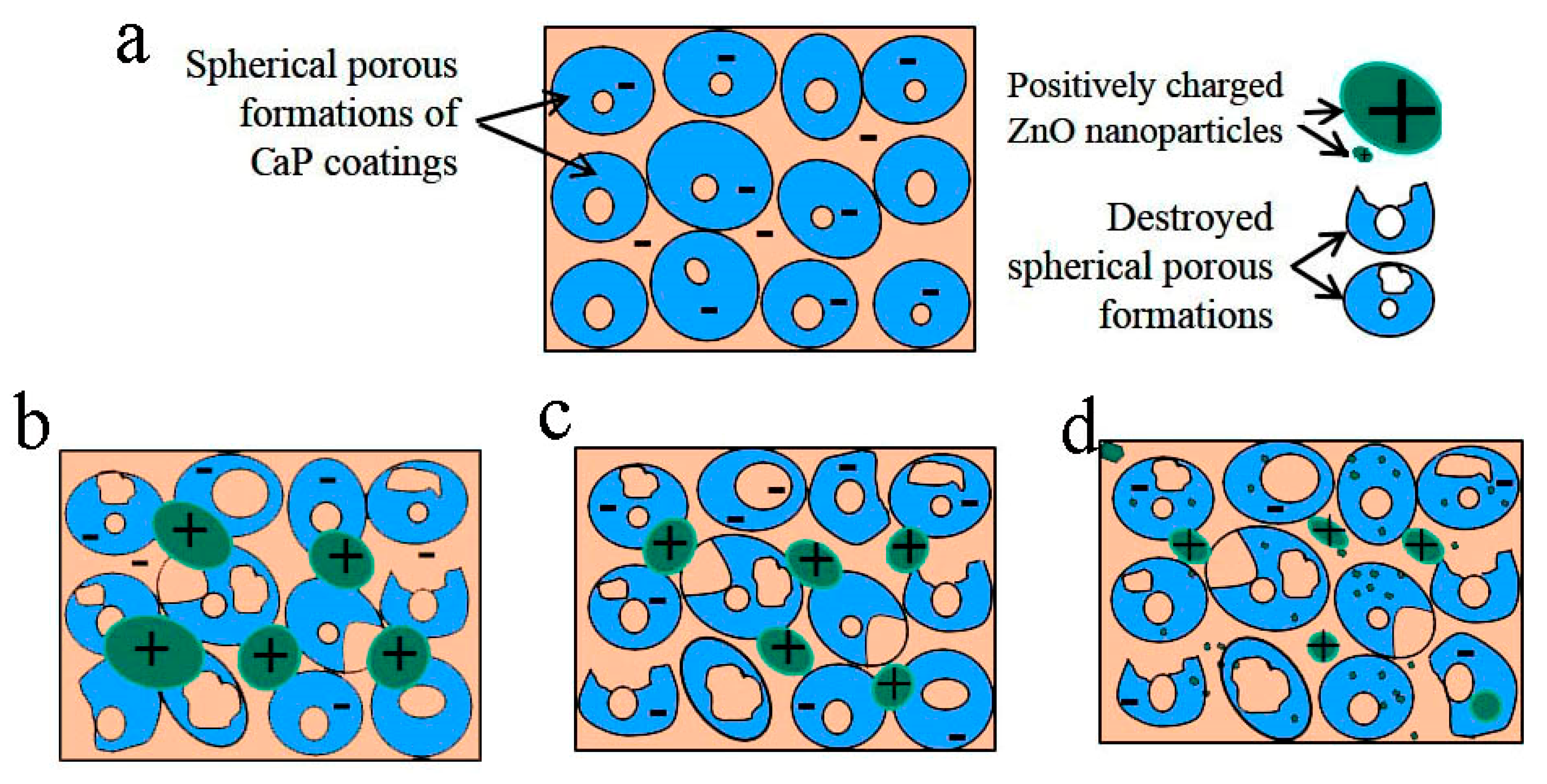 Coatings 13 01921 g009