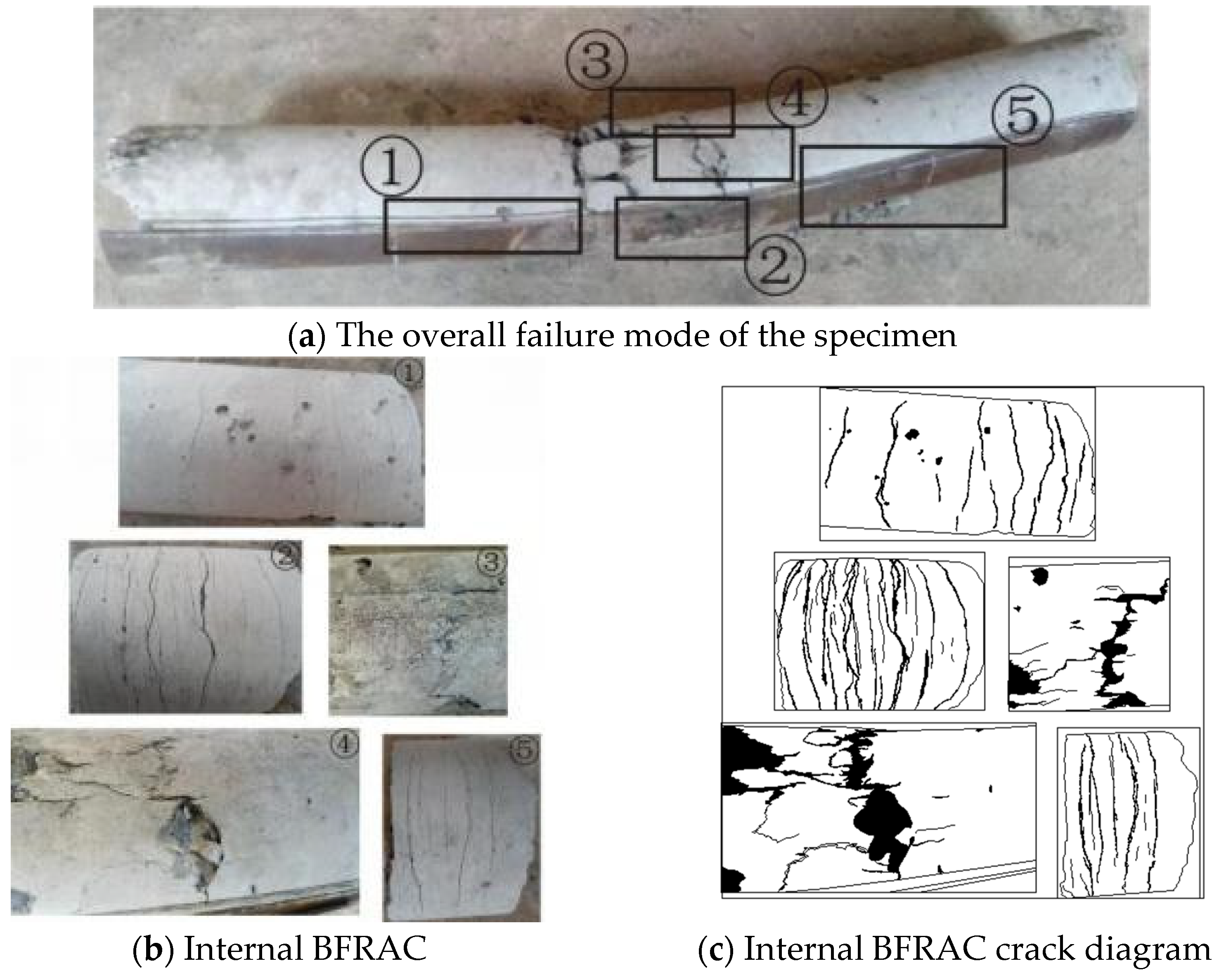 Coatings 13 01923 g003