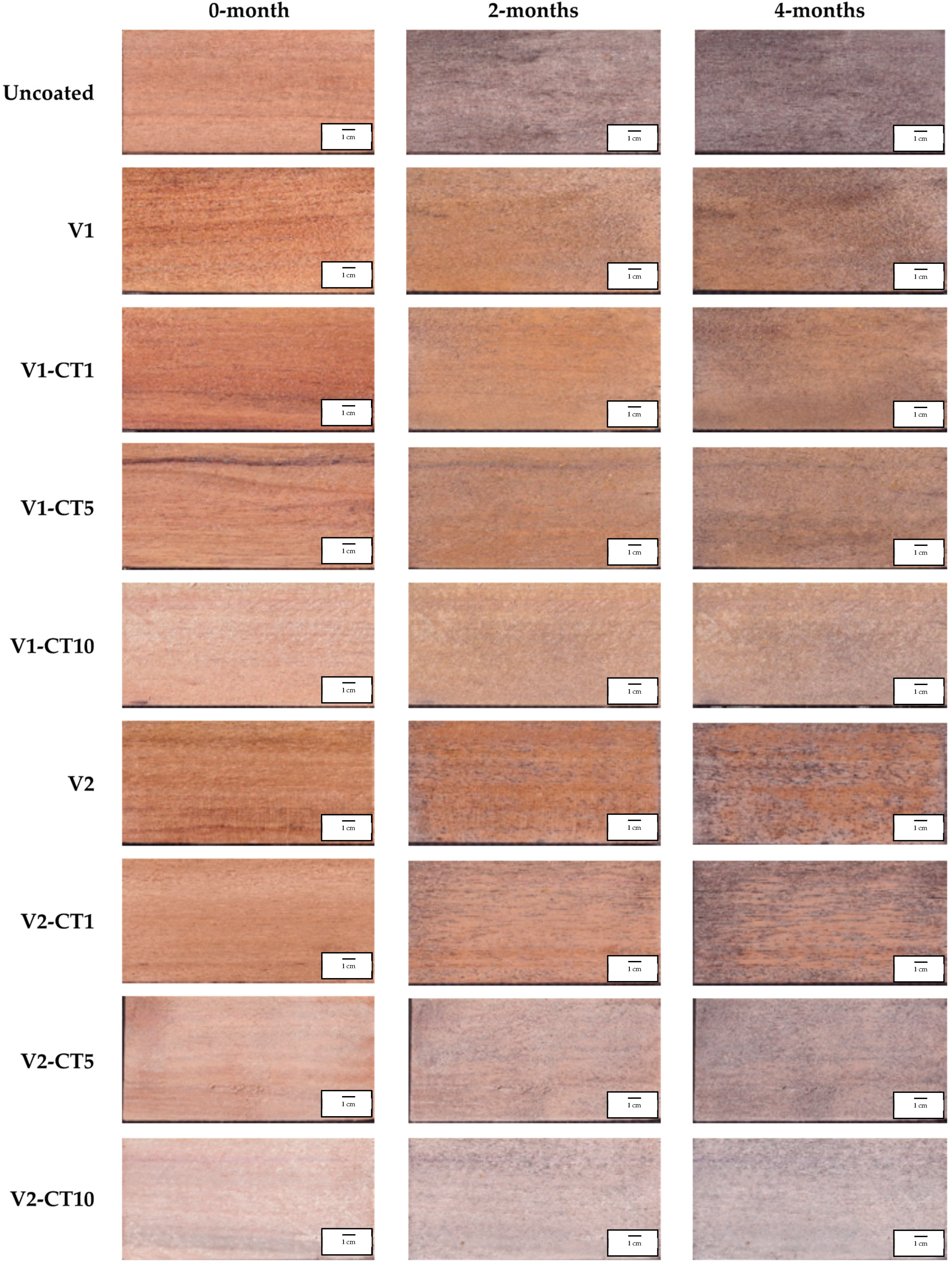 Coatings 13 01924 g009