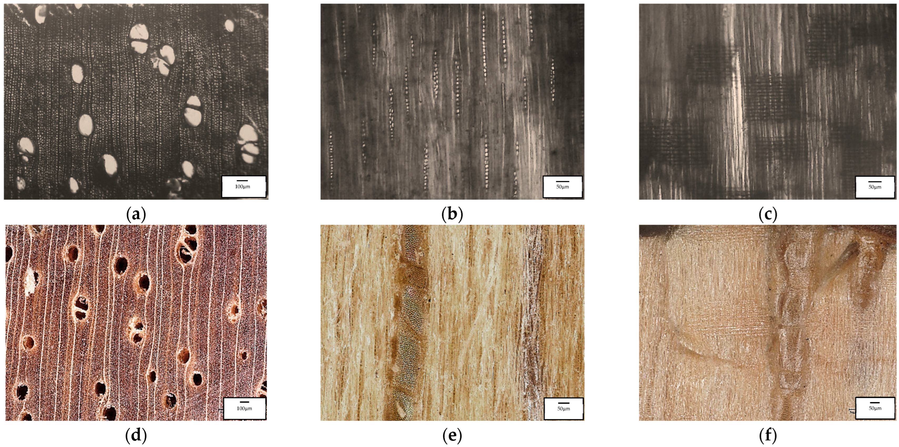 Coatings 13 01924 g011