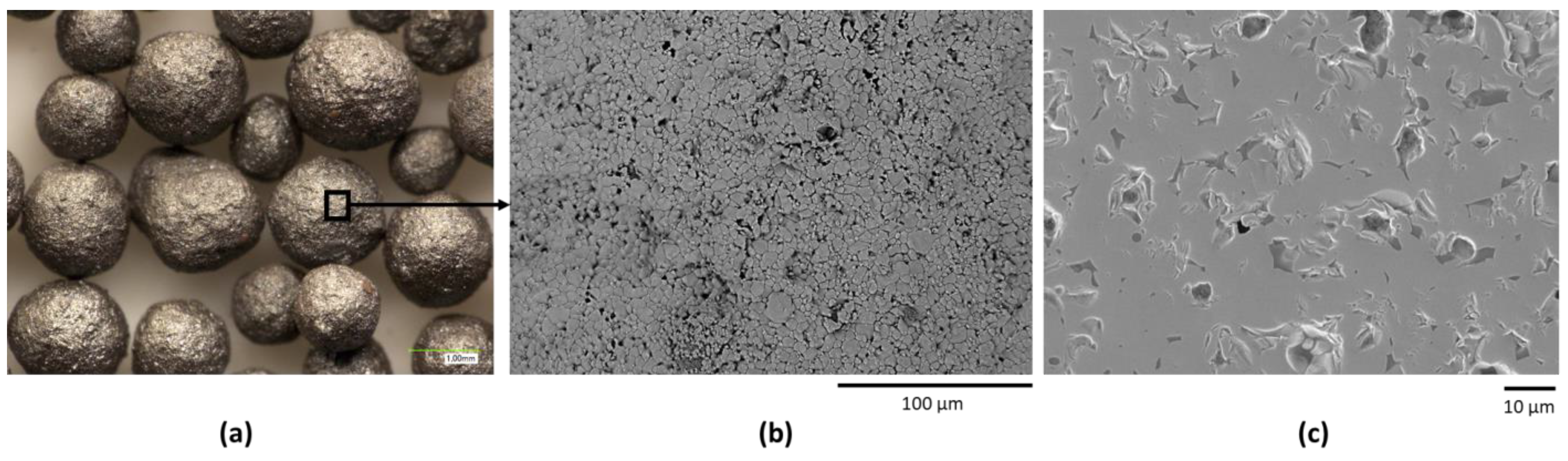 Coatings 13 01925 g002
