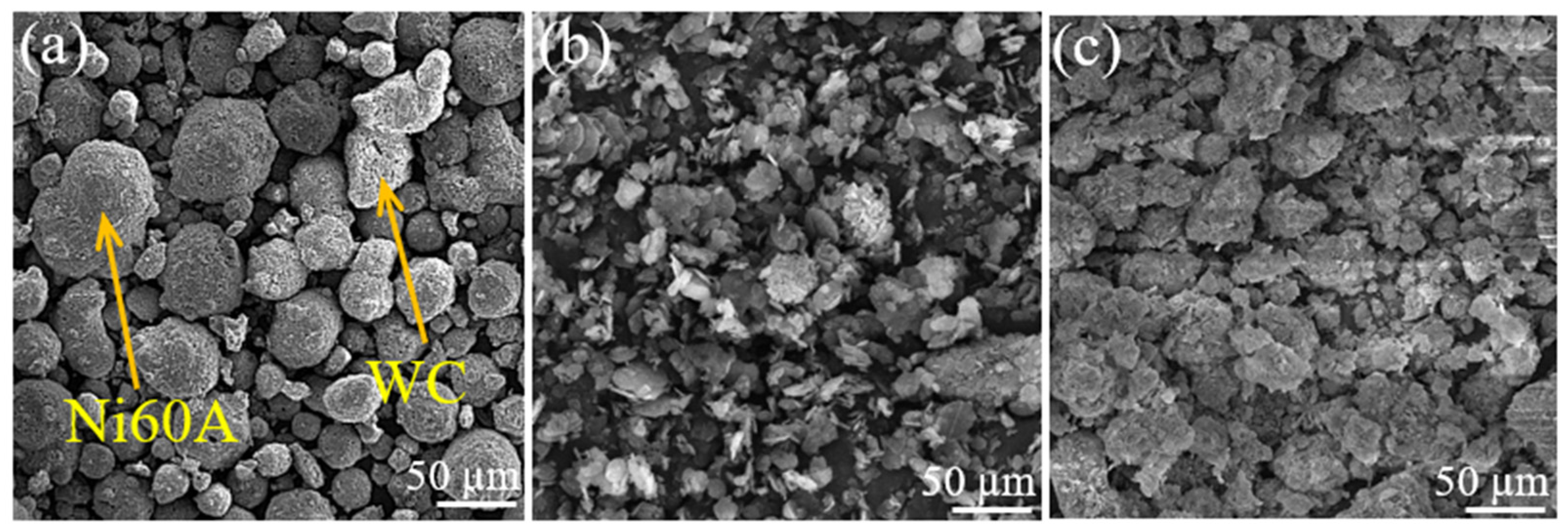 Coatings 13 01928 g001