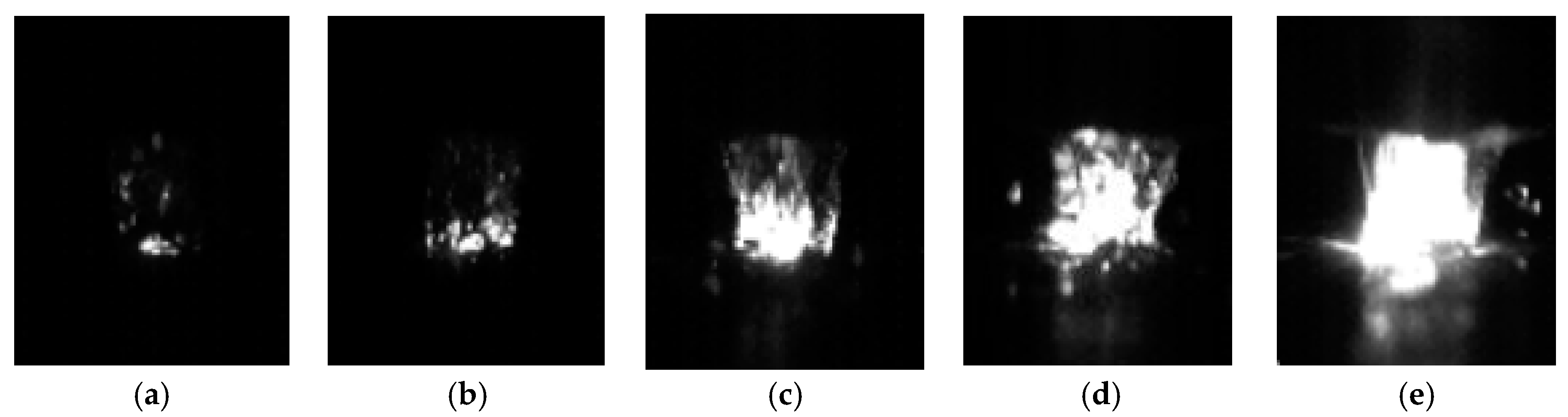 Coatings 13 01933 g003