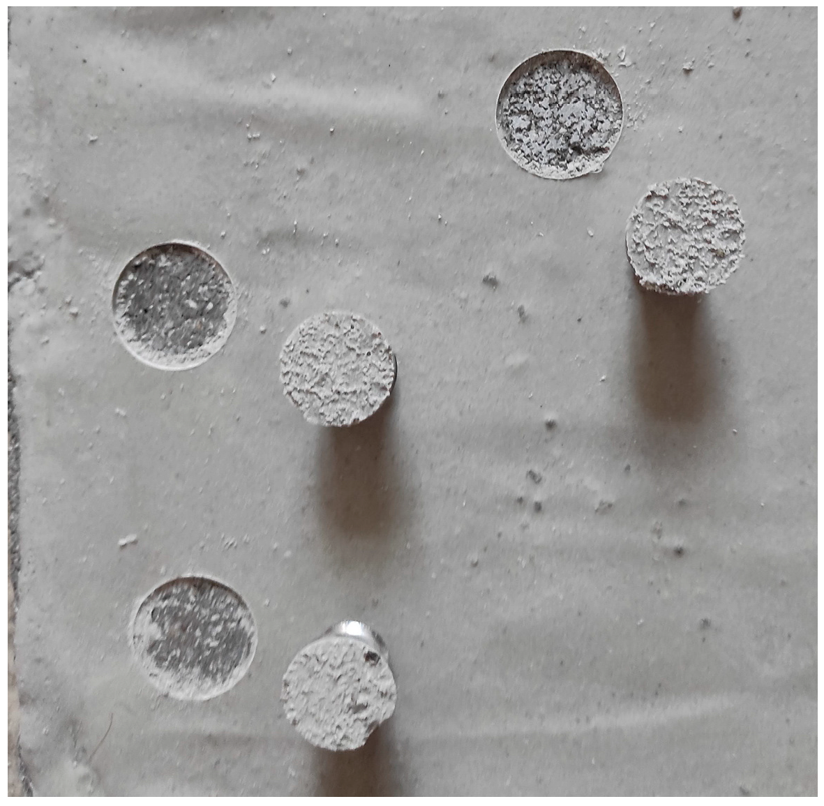 Coatings 13 01934 g006