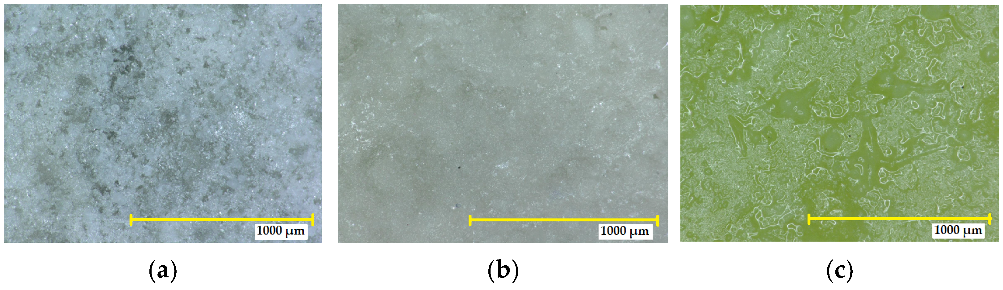 Coatings 13 01934 g010
