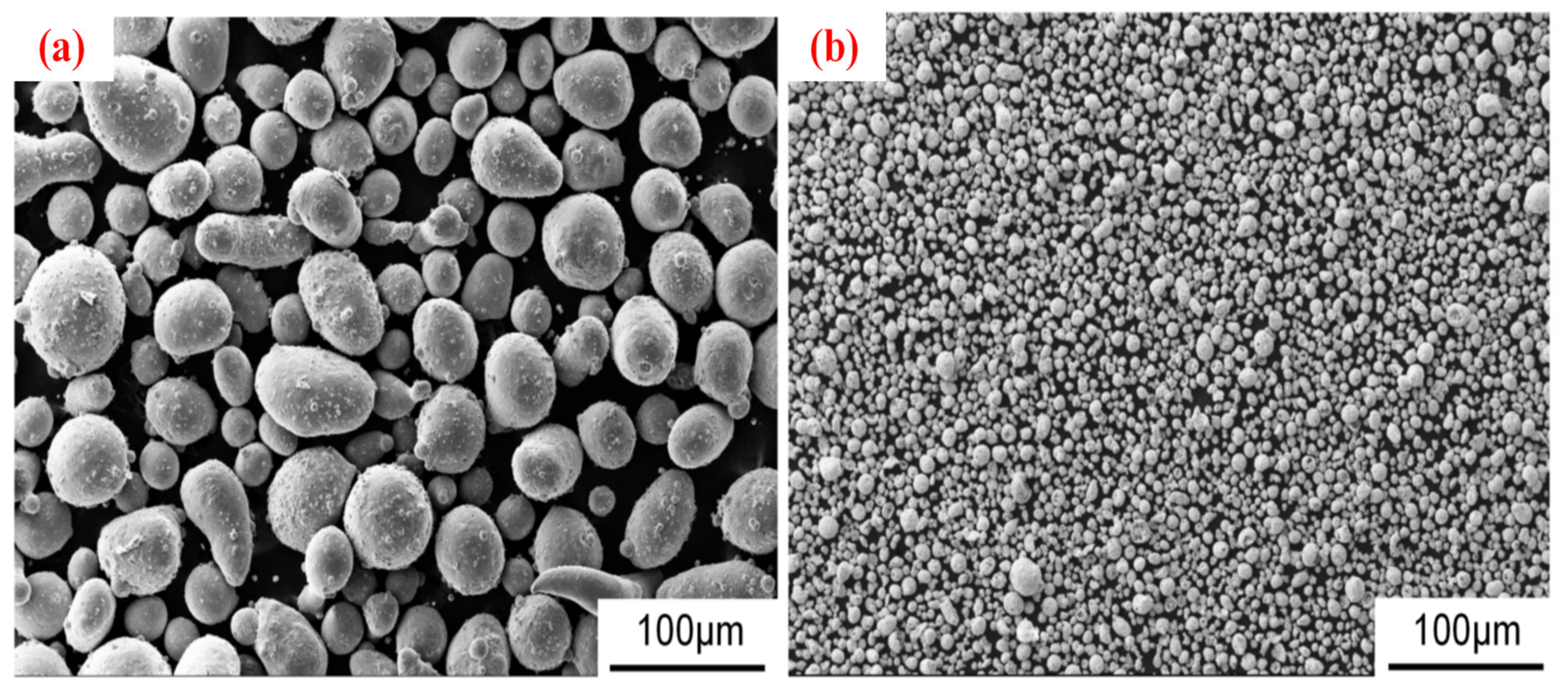 Coatings 13 01935 g001