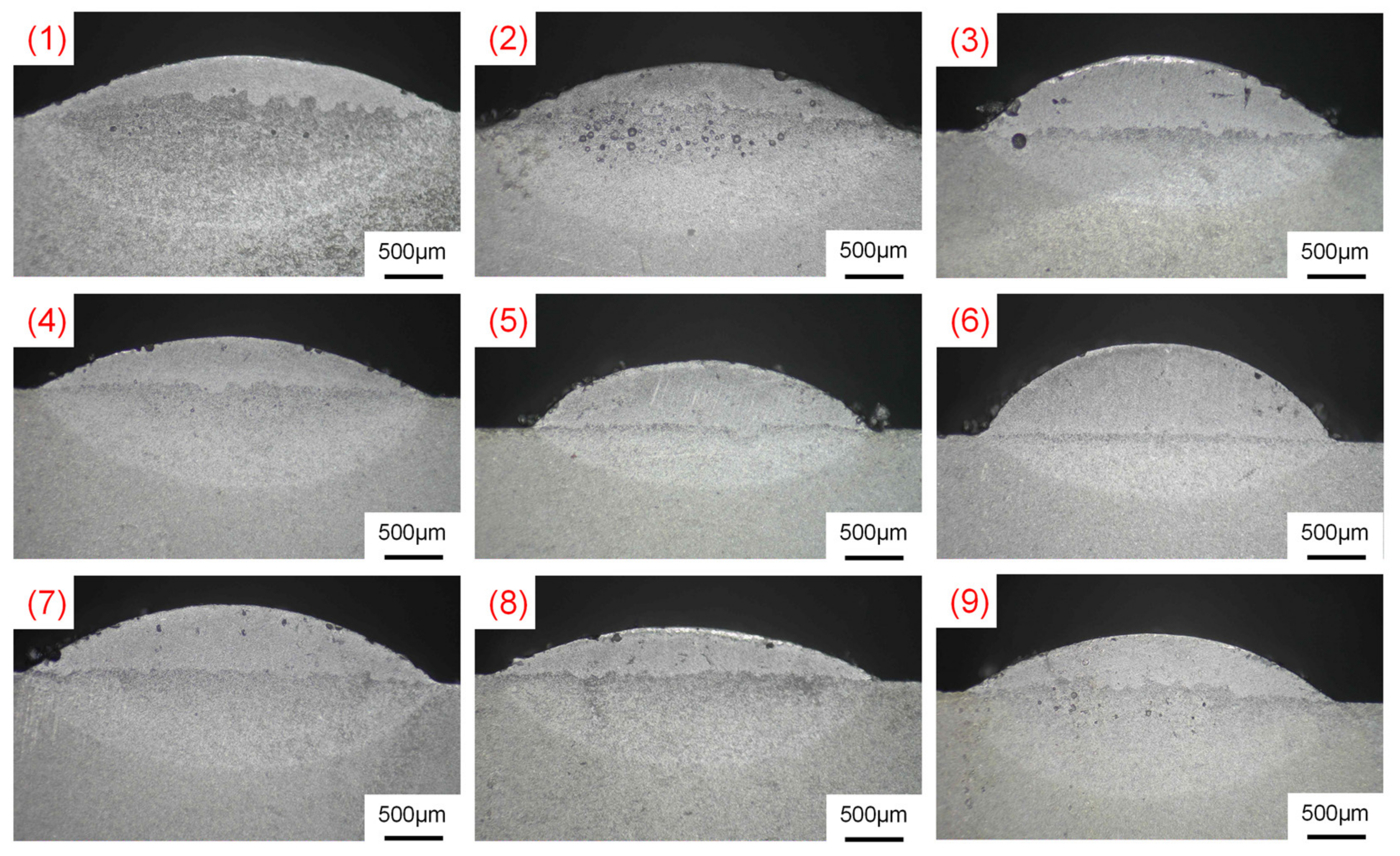 Coatings 13 01935 g003