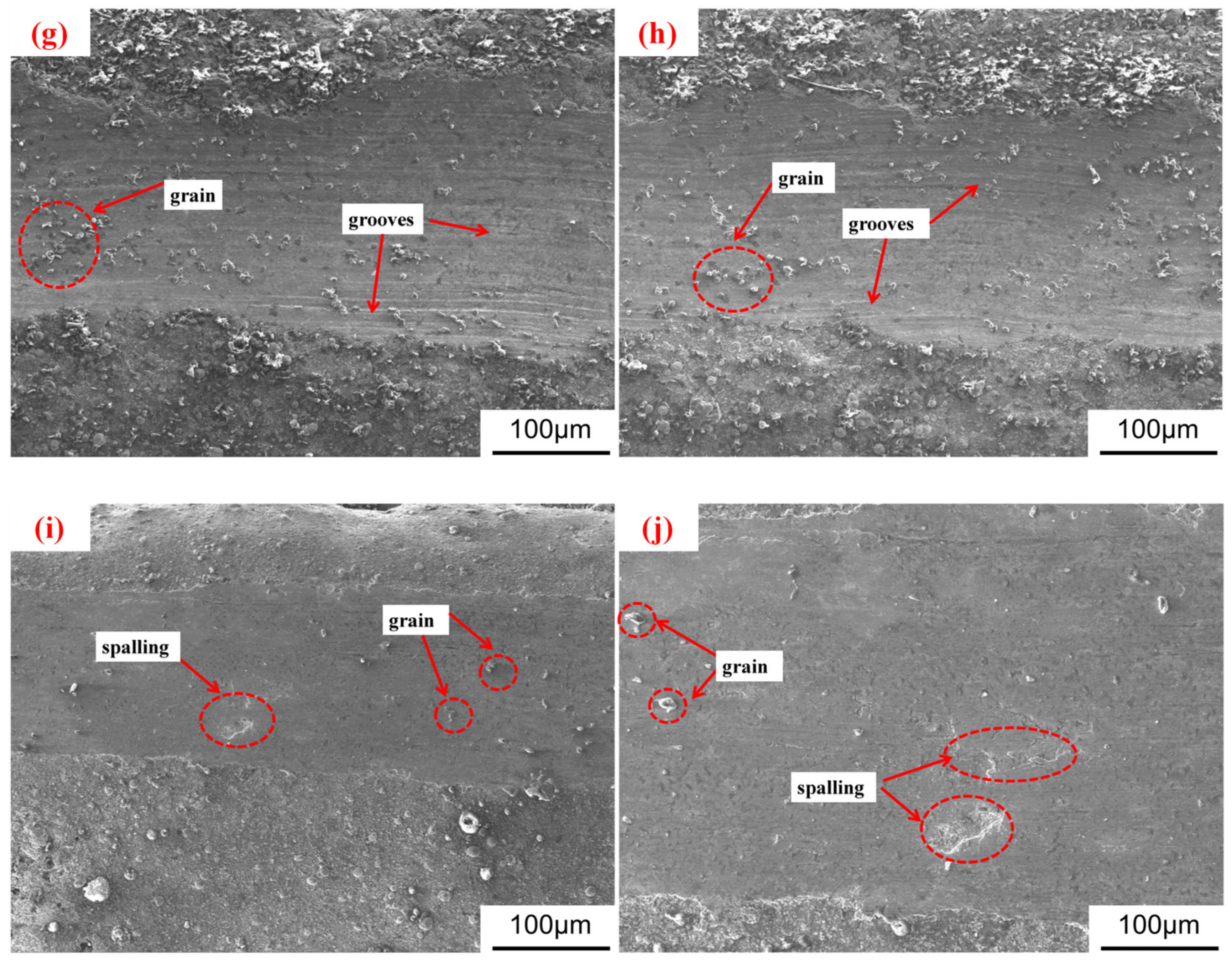 Coatings 13 01935 g013b