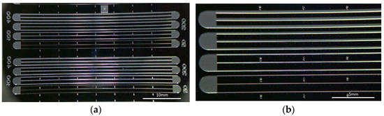 Coatings 13 01942 g0a1