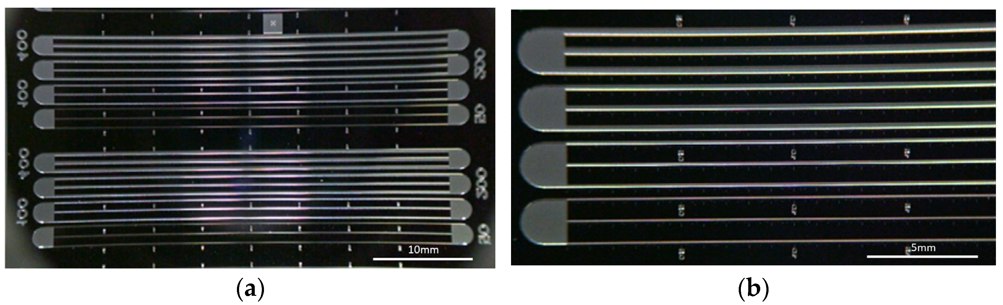 Coatings 13 01942 g0a1