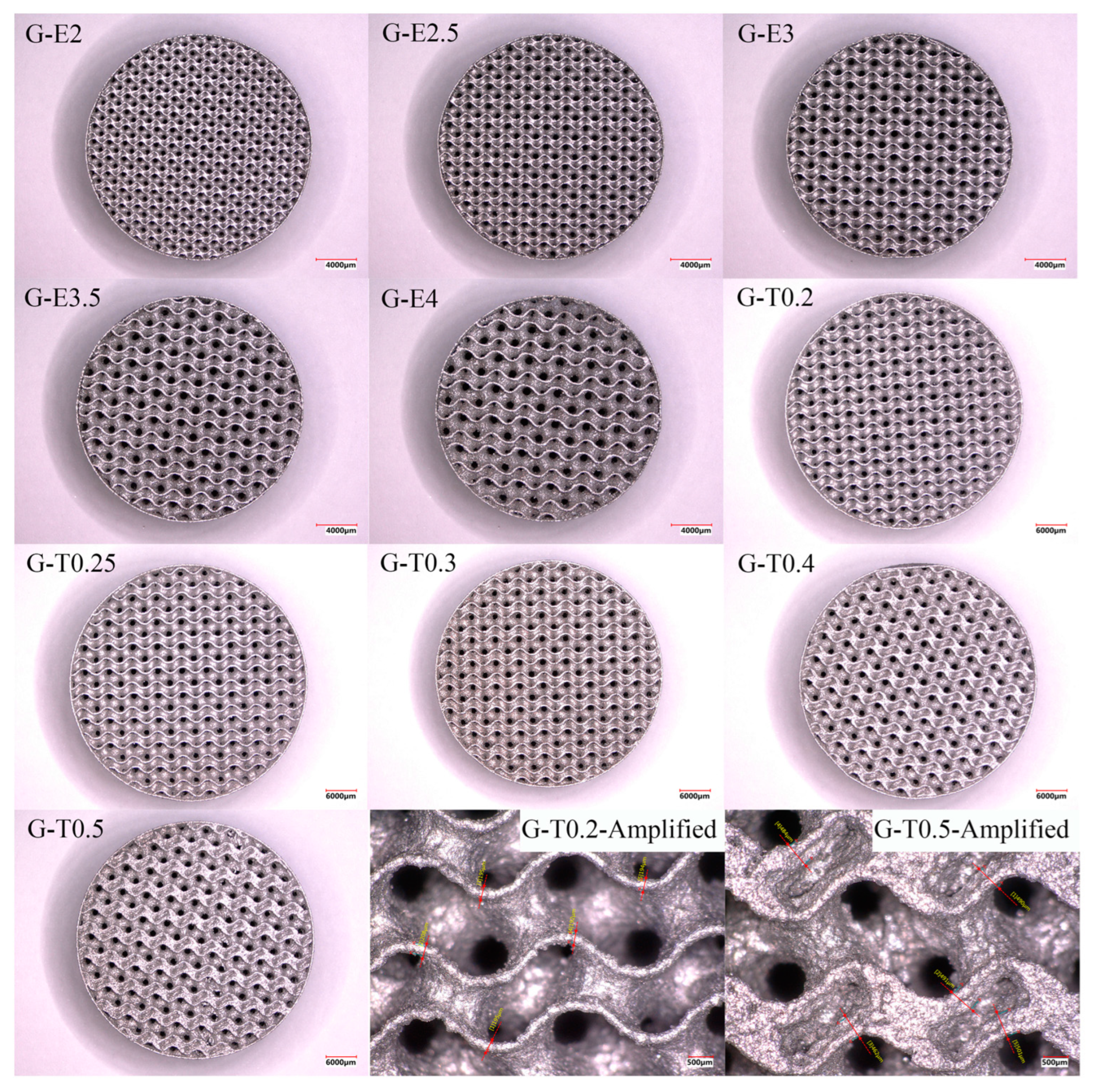 Coatings 13 01950 g008