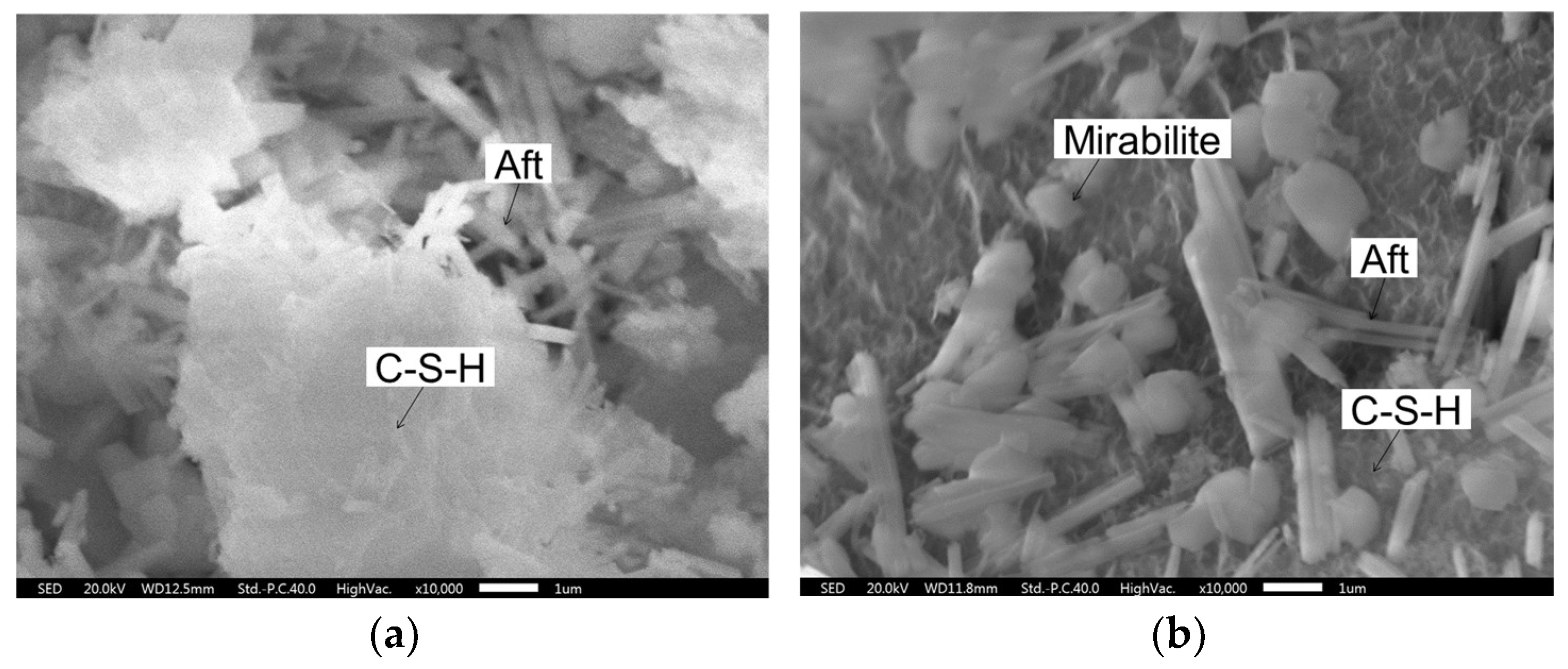 Coatings 13 01958 g007 Coatings 13 01958 g007