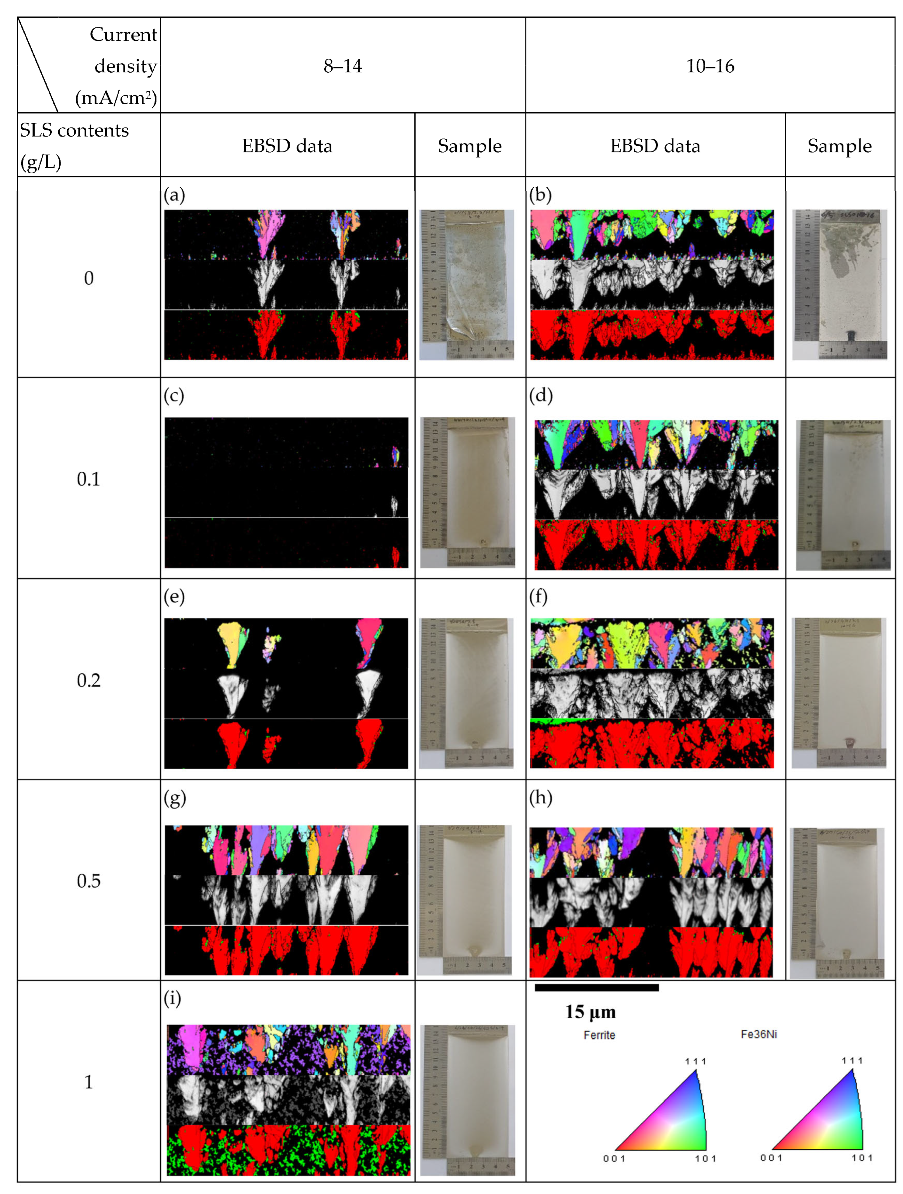 Coatings 13 01959 g001